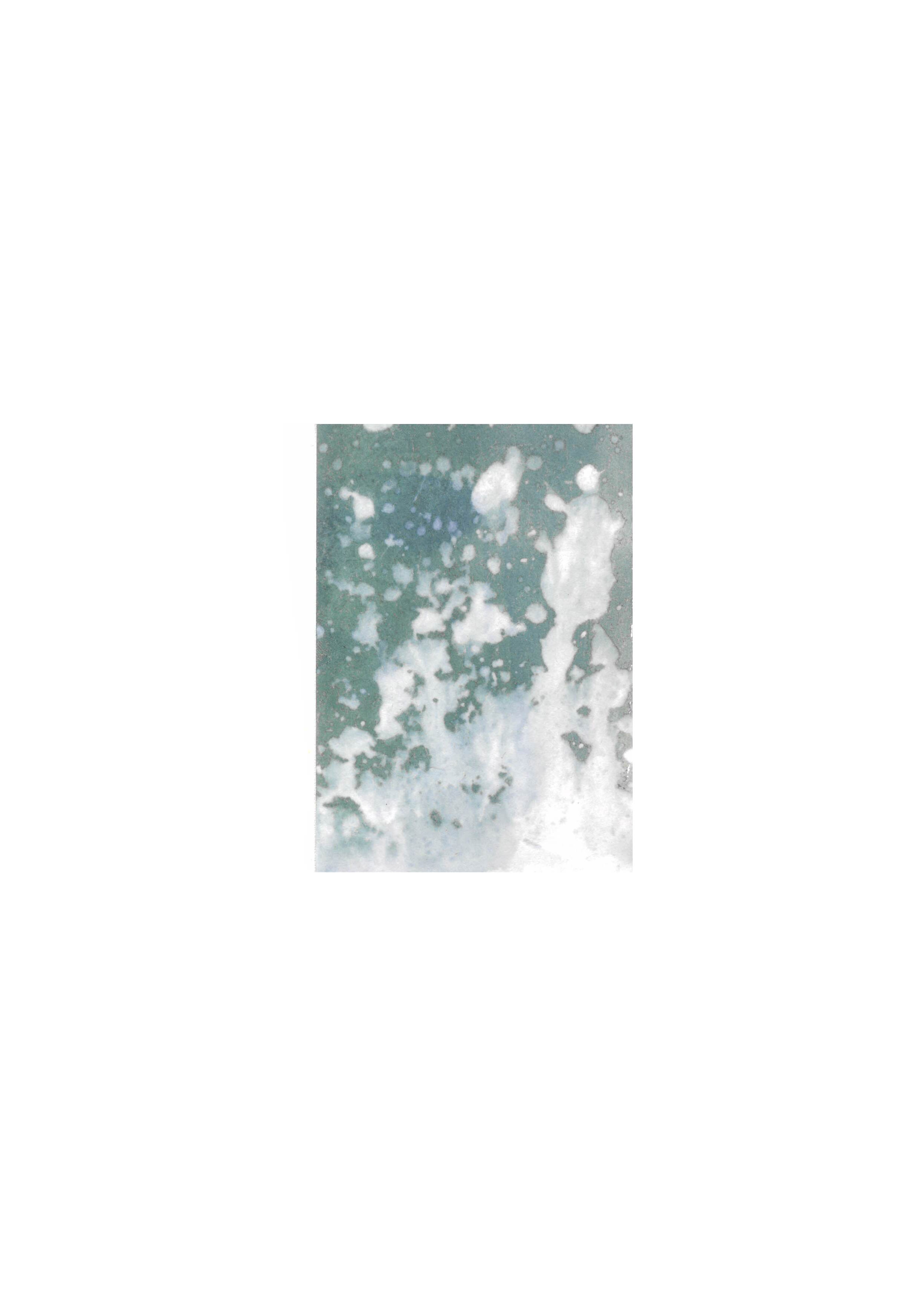 Flower & Plastic