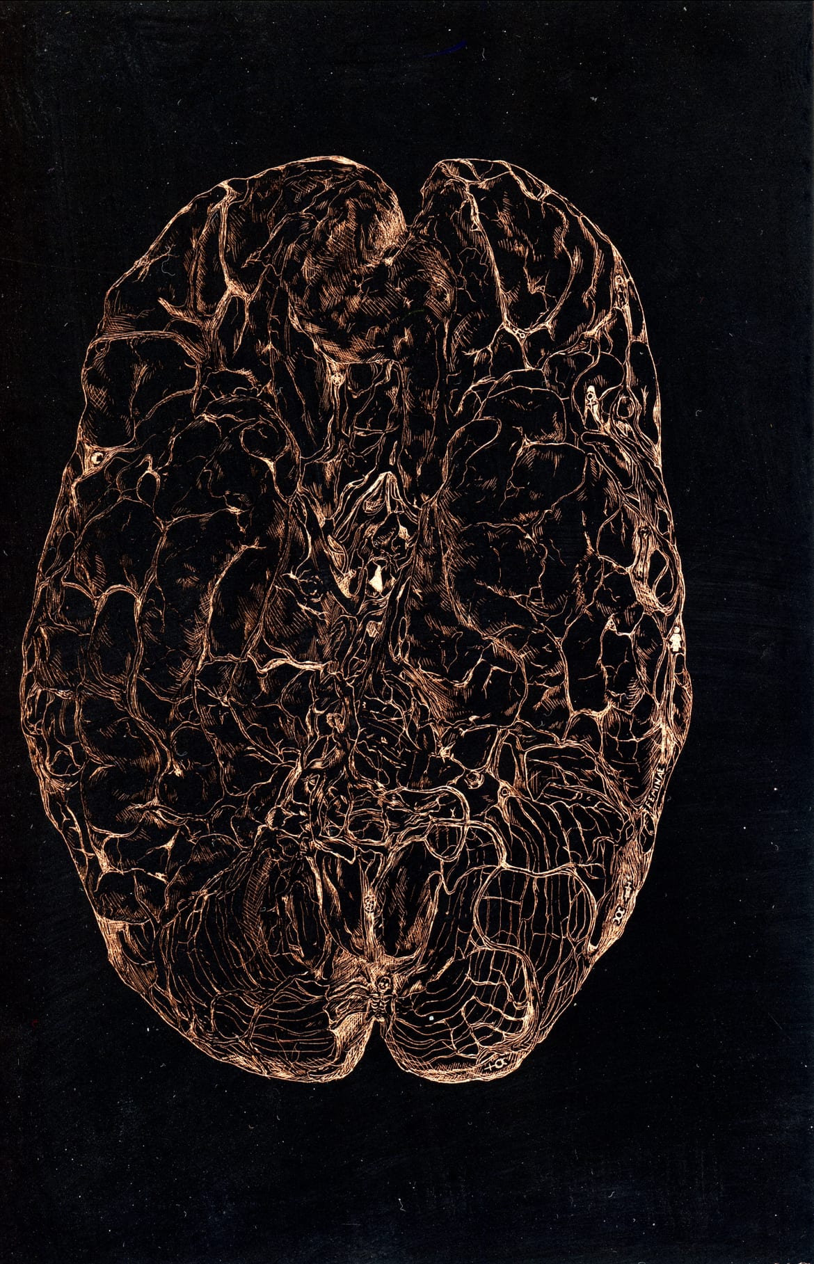 Medical Illustration: Female Pioneers of Medicine.