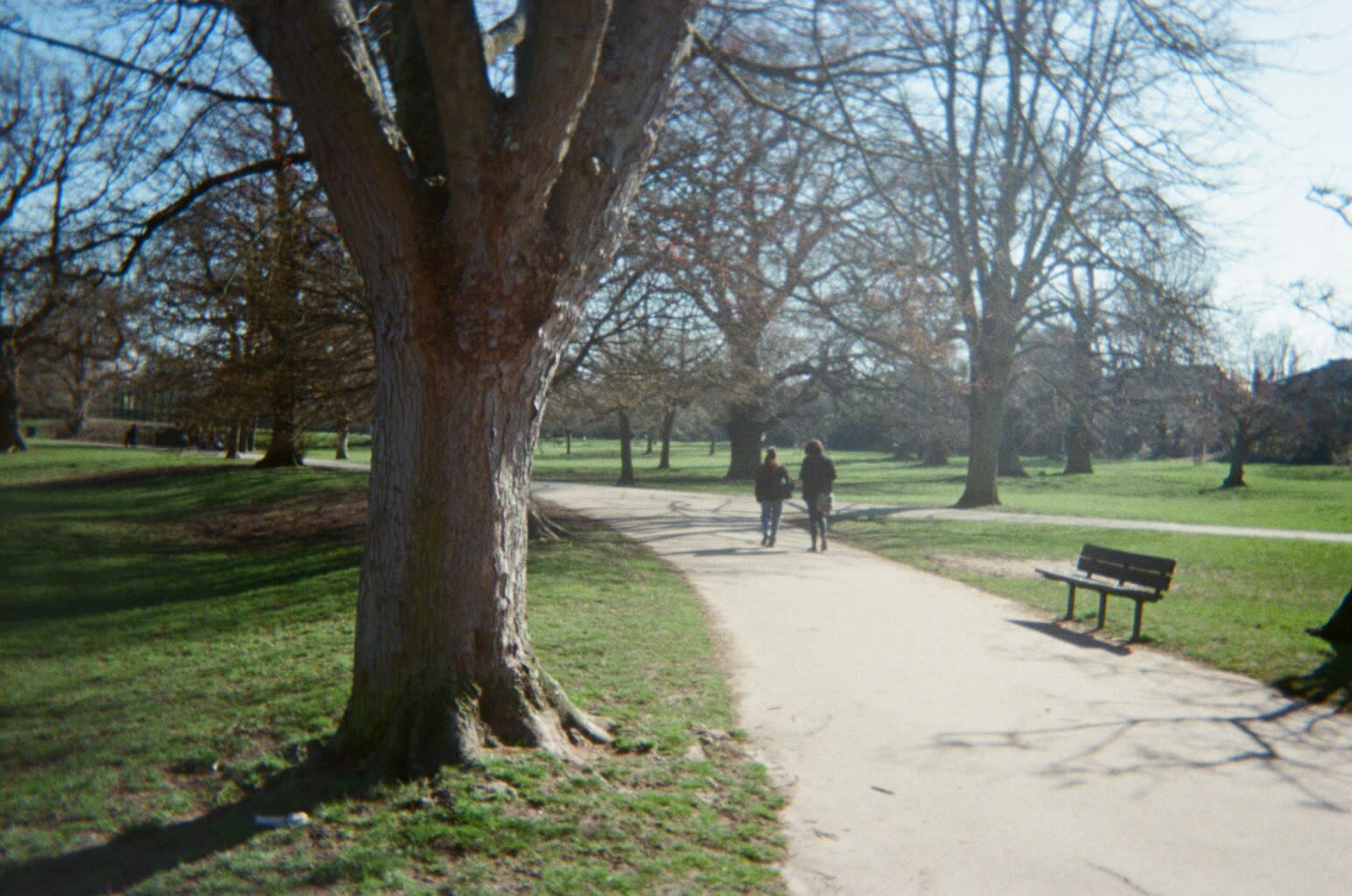 Walk and Talk: Reimagining Productivity