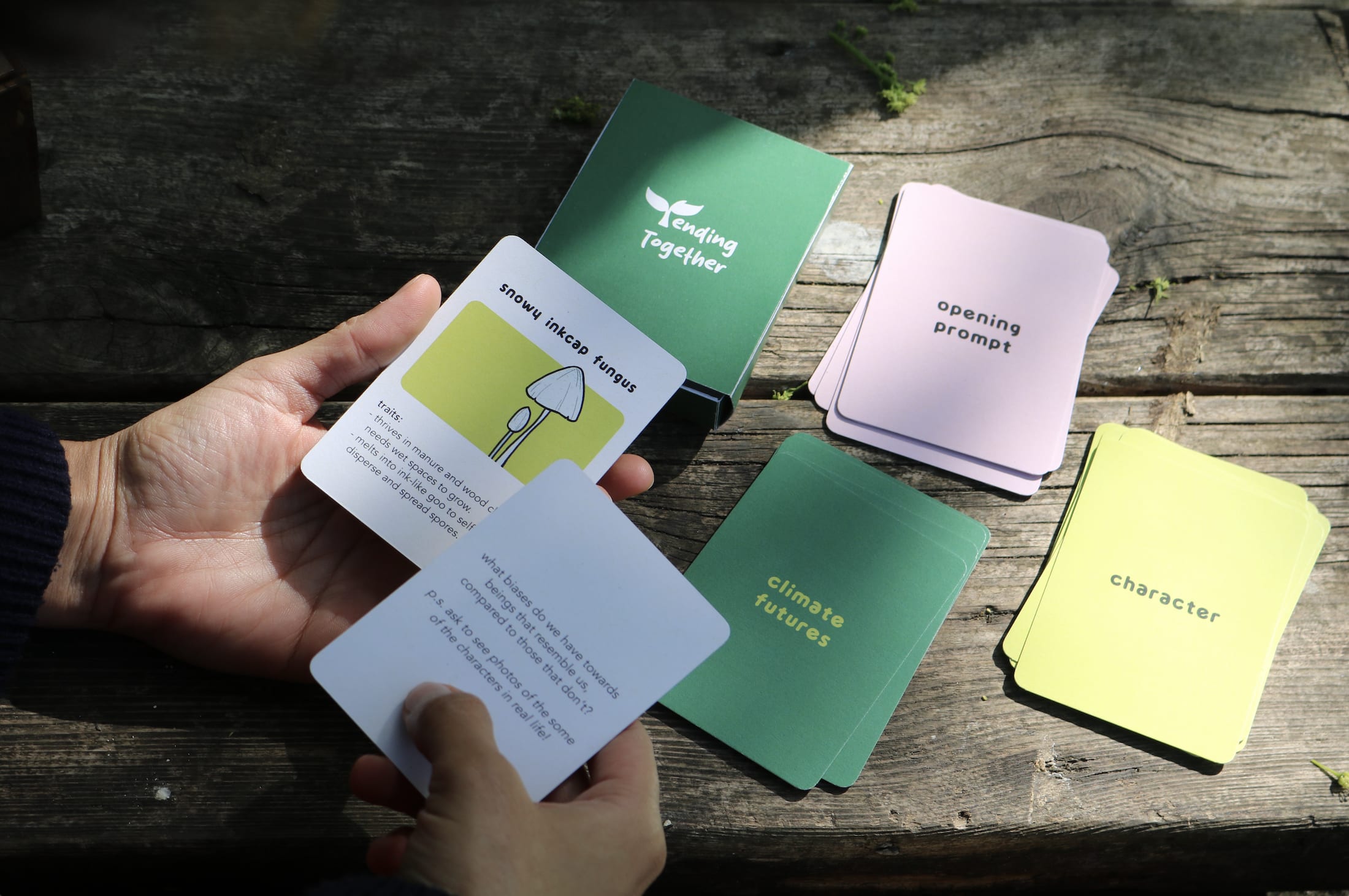 Graduate Showcase: Chaahat Thakker