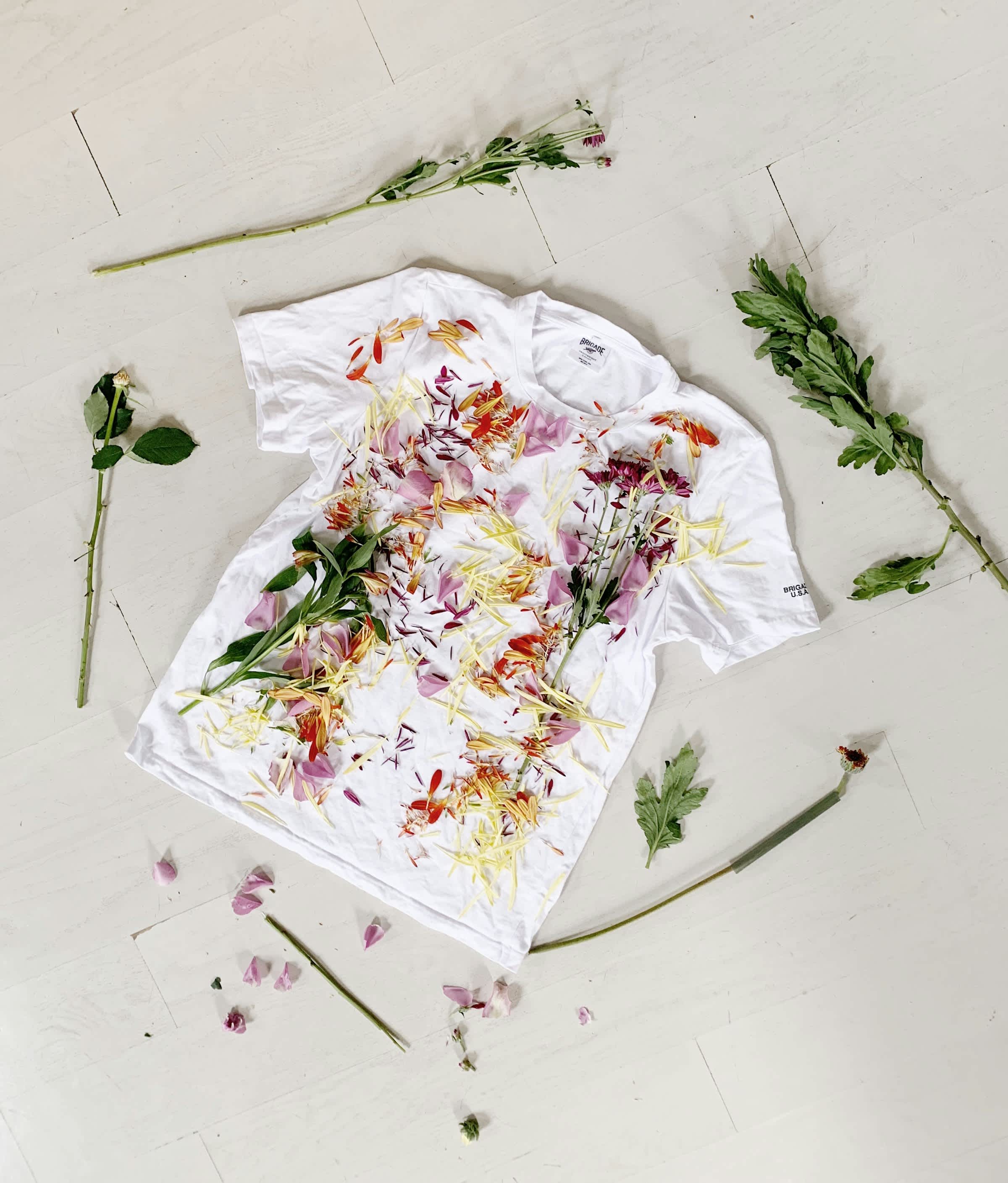 Fashion and Sustainability Regulation