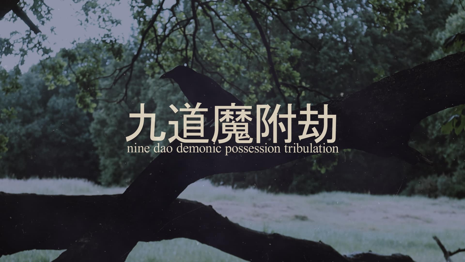 九道魔附劫