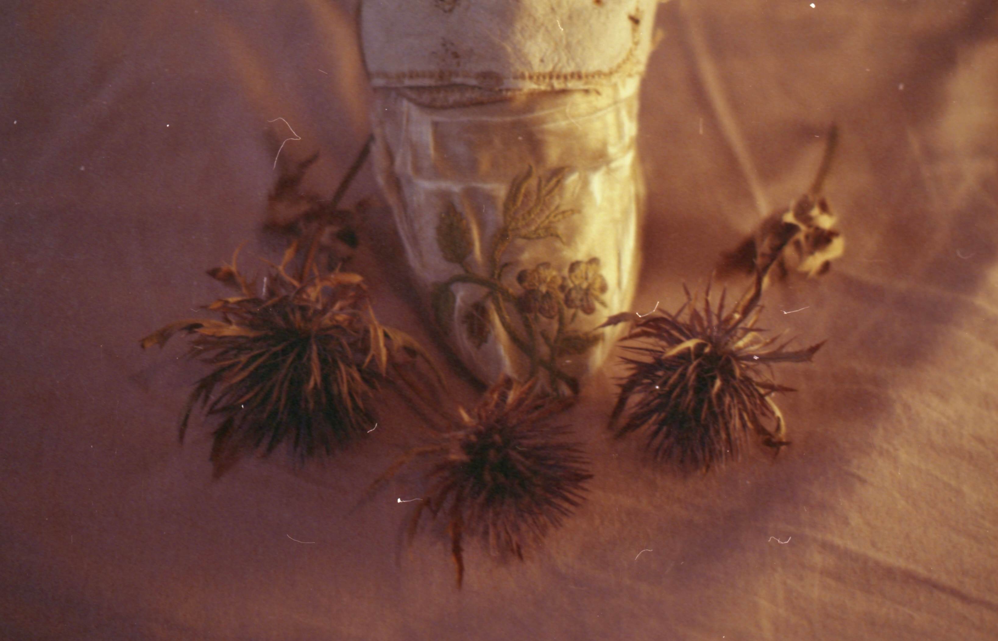Memory/Loss: Curating Decay in Garment Collections