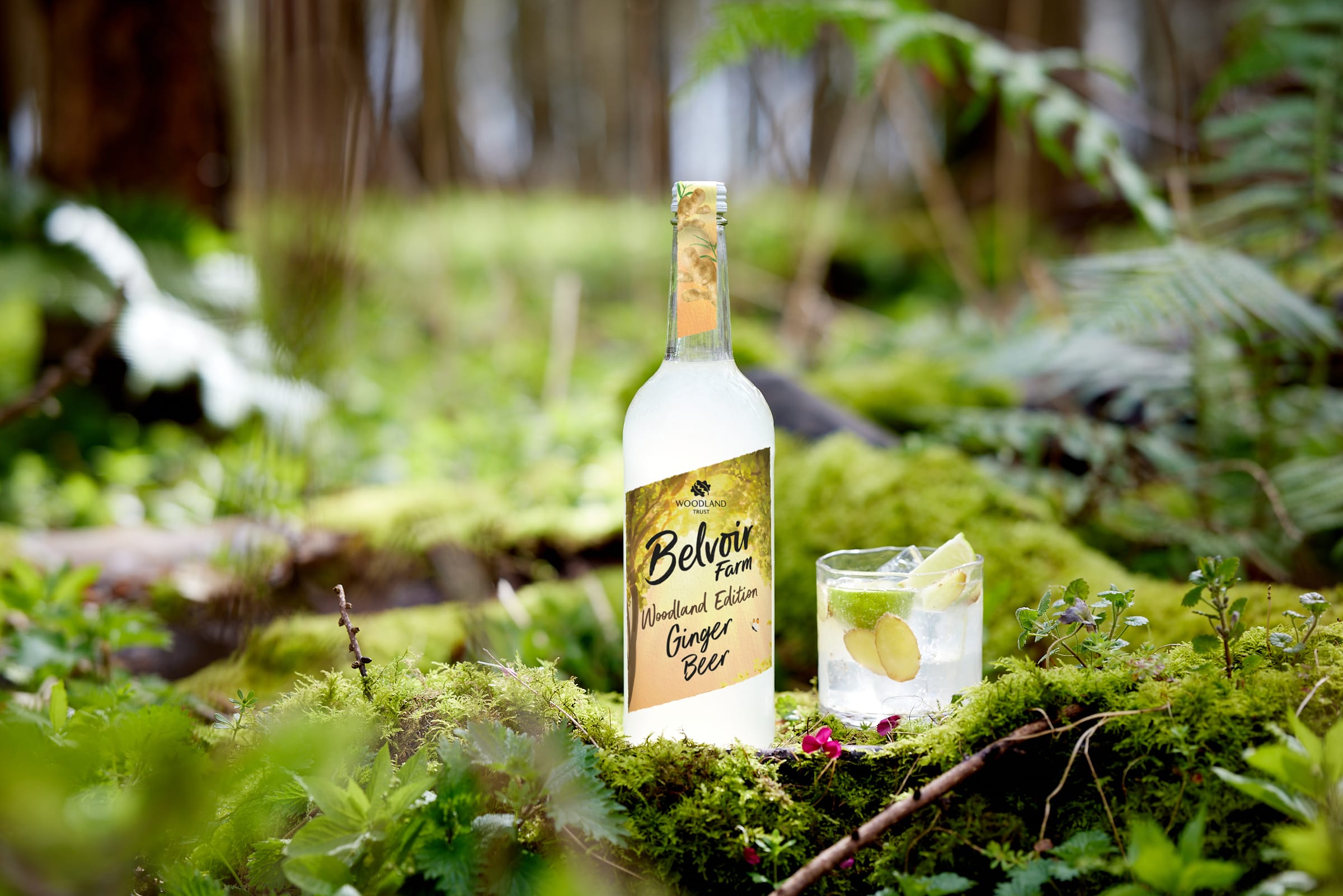 Belvoir_WT_Ginger_Beer_750.jpg