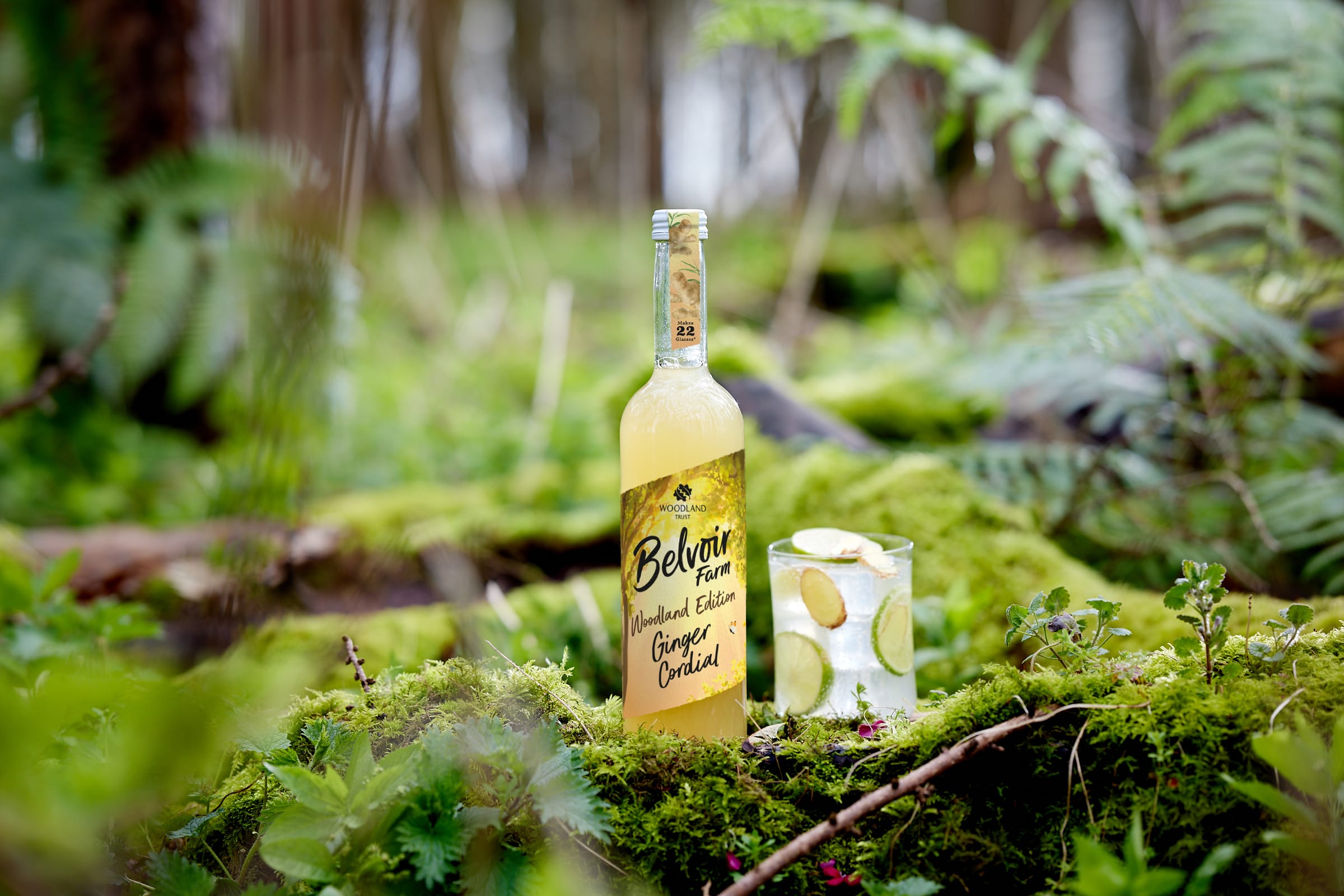 Belvoir_WT_Ginger_Cordial_500.jpg