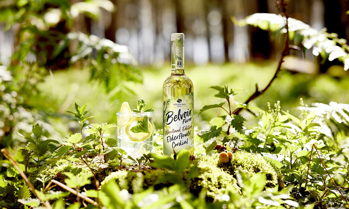 Belvoir_WT_Elderflower_Cordial_500-1-1.jpg