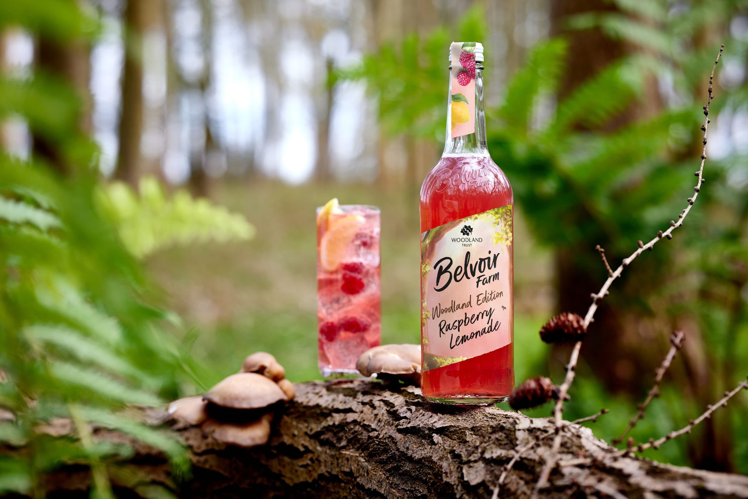 Belvoir_WT_Sparkling_Raspberry_750.jpg