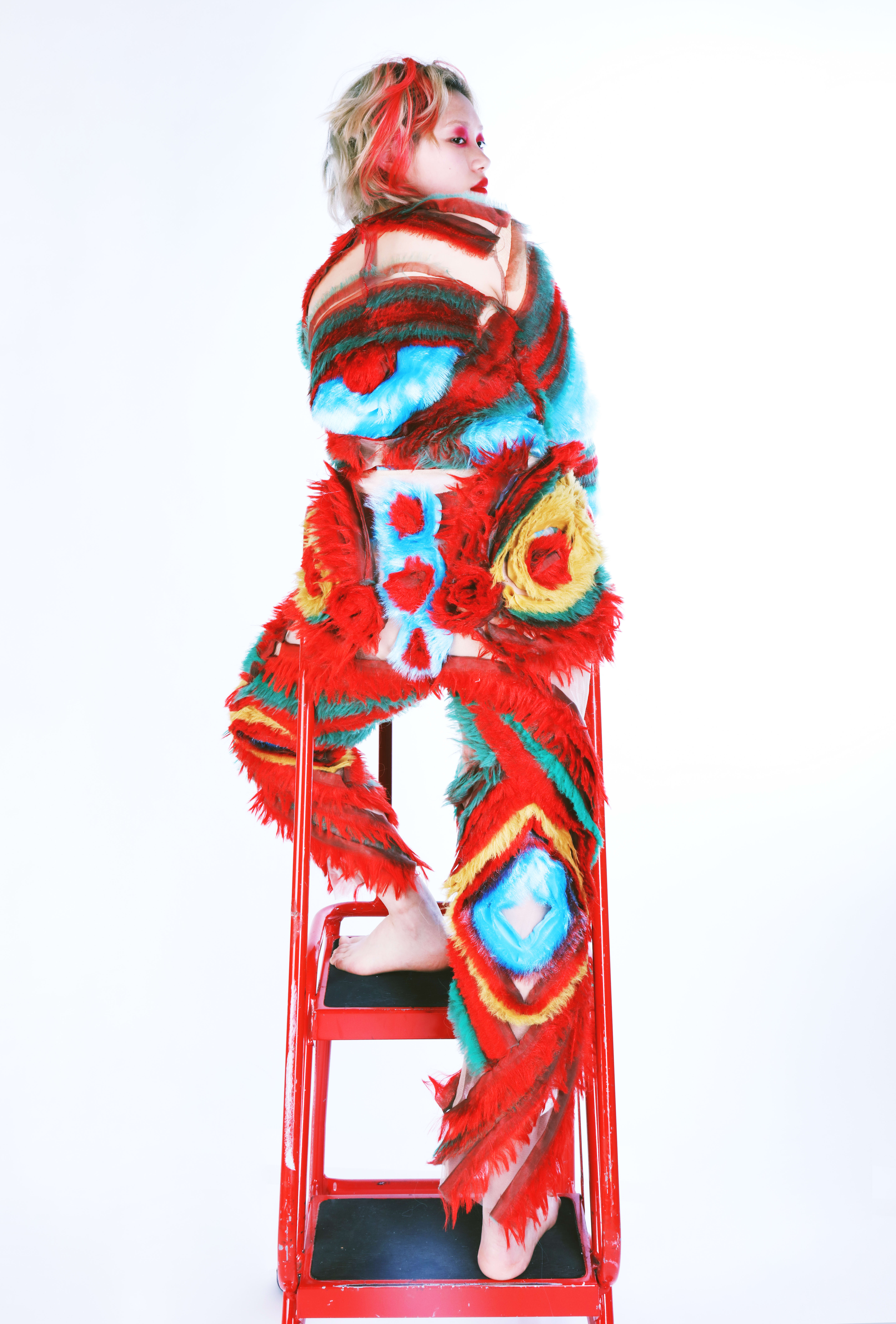 Grad-Dip-FDT-Hong-Zhao-01-model-on-ladder.JPG