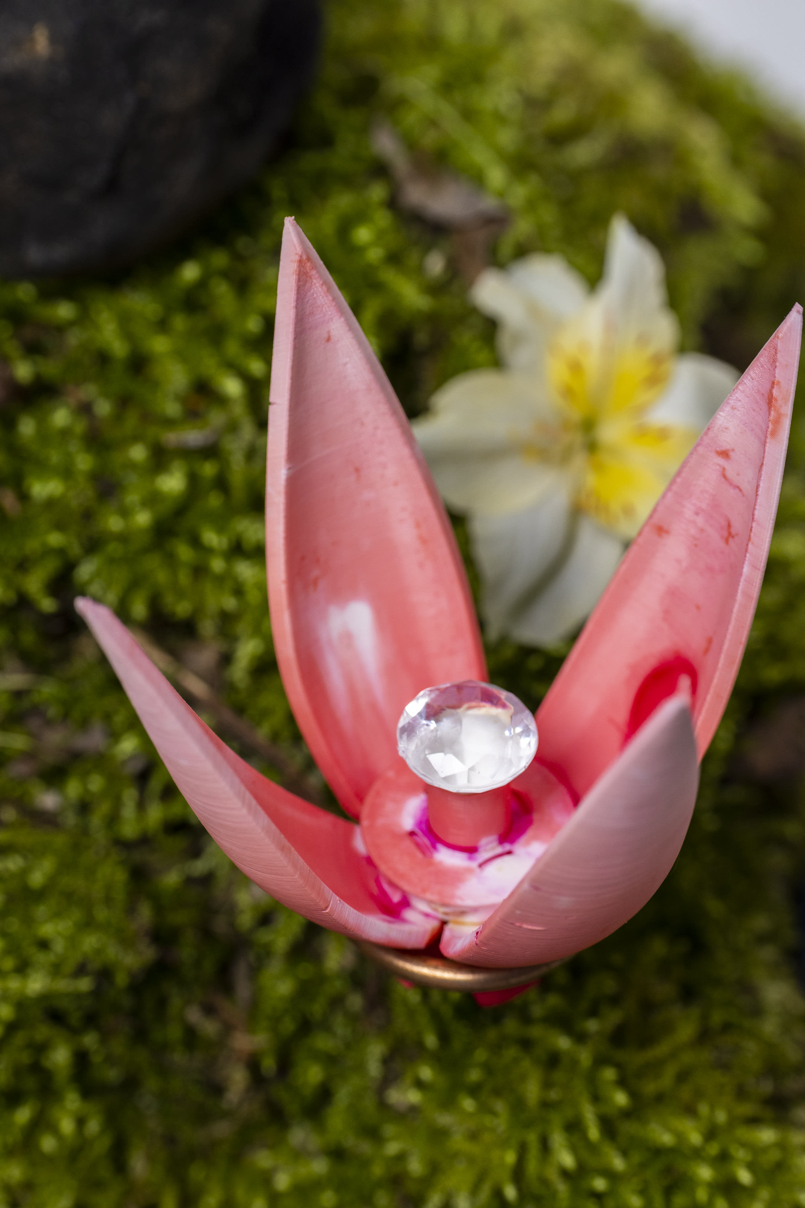 Treasured-Enchangments-6.jpg