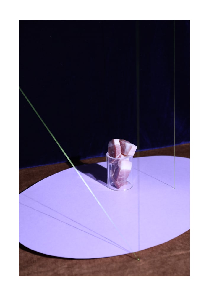A digital pigment print with a lilac table mat holding a see-through container of meat