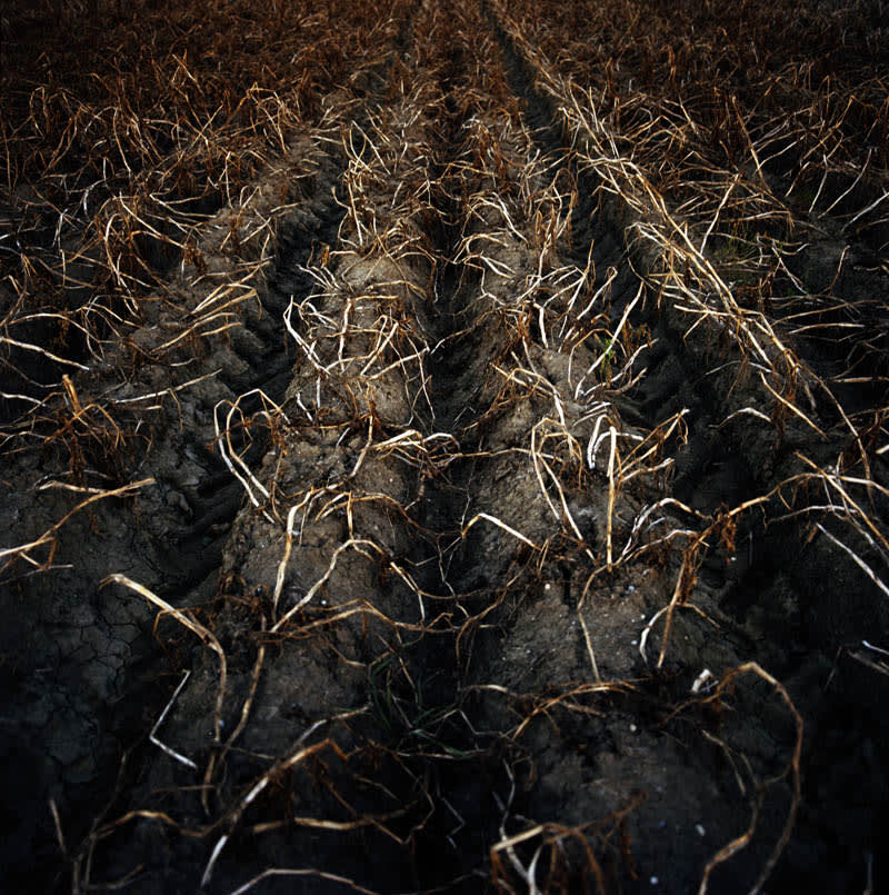 07fieldtracks.jpg
