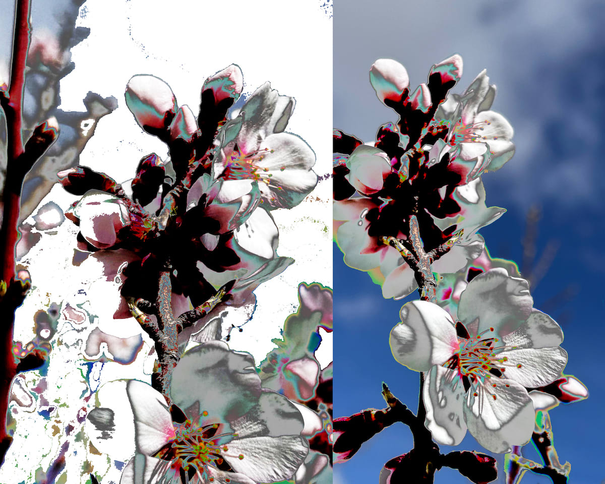 Through-digital-manipulation-something-new-is-created.jpg