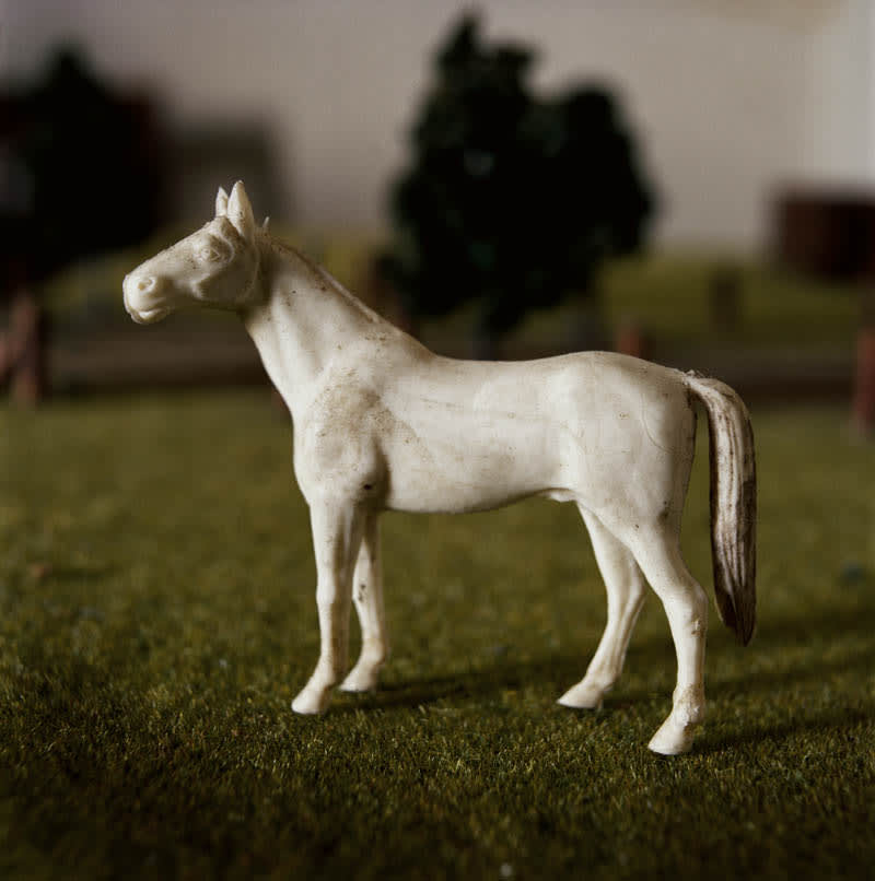 08horse.jpg