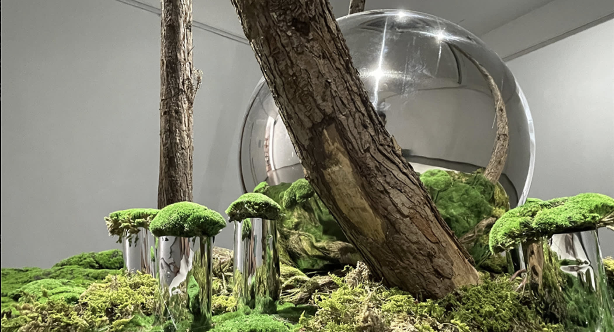 Ying-Cai-Metamorphasis,-2021-MA-Fine-Art-Chelsea-College-of-Arts.jpg
