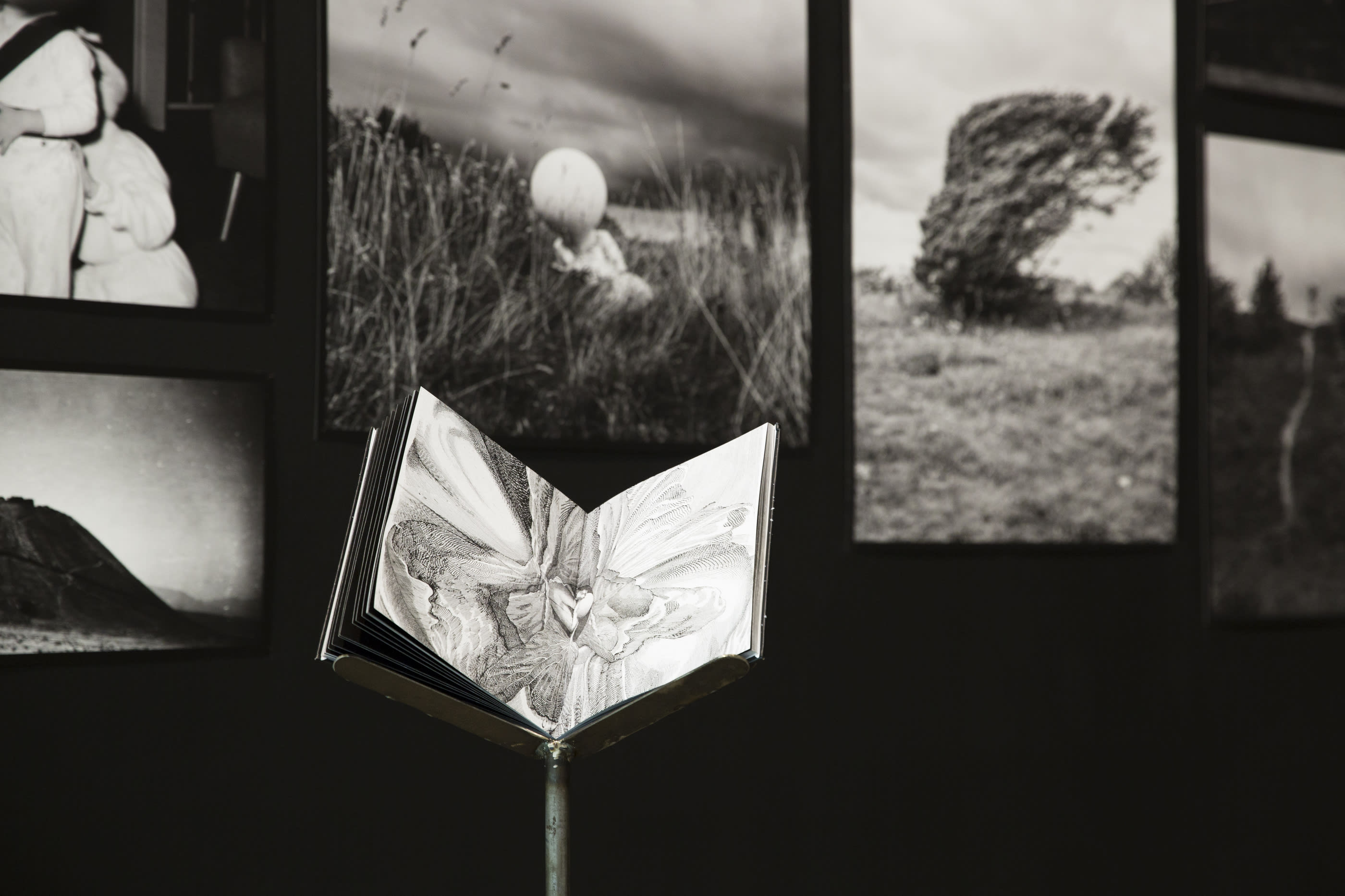 Copy-of-exhibition2.JPG