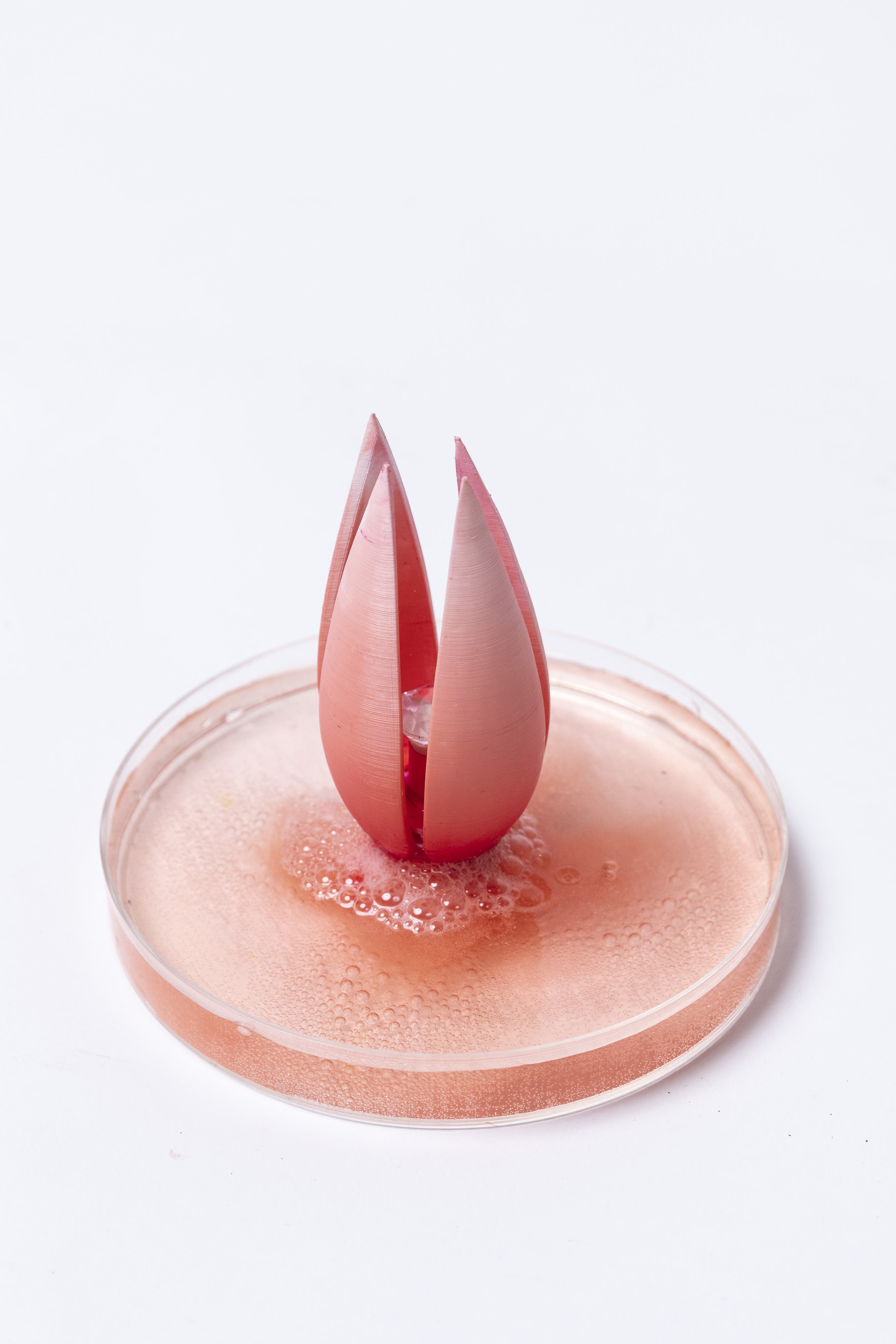 CSM_MABD_Swarovski_CG_00487.jpg