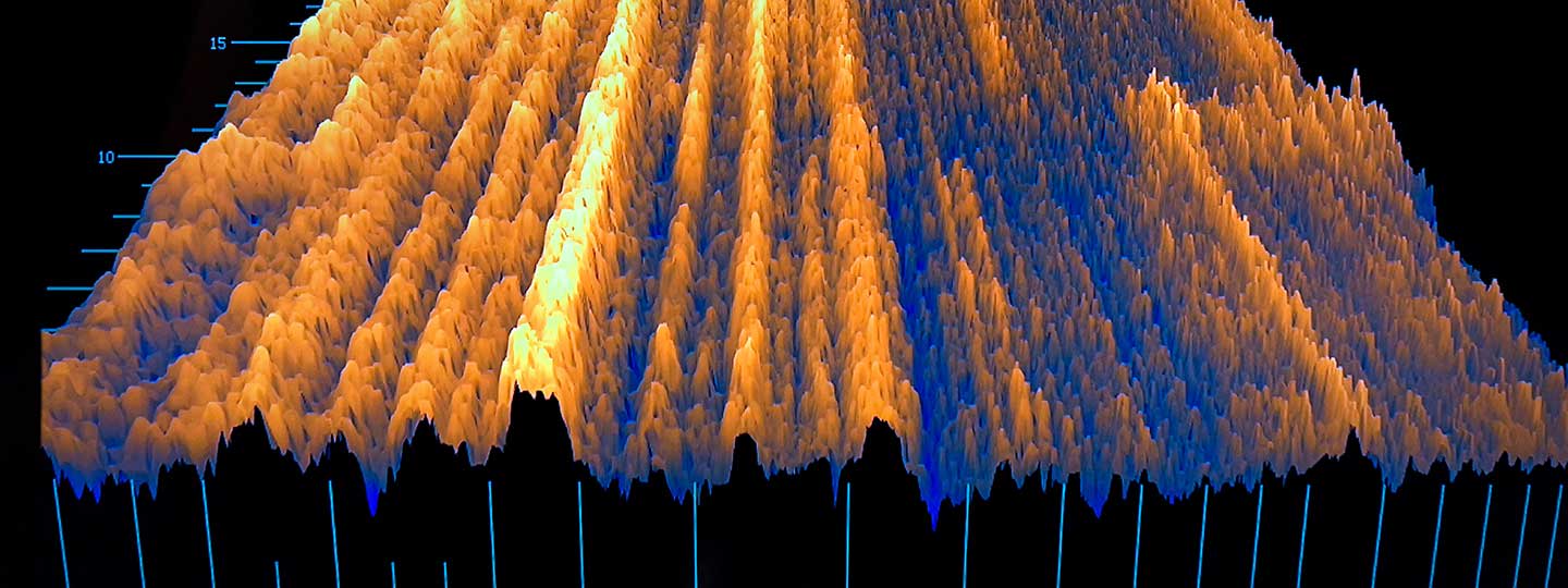 Summer shows homepage image