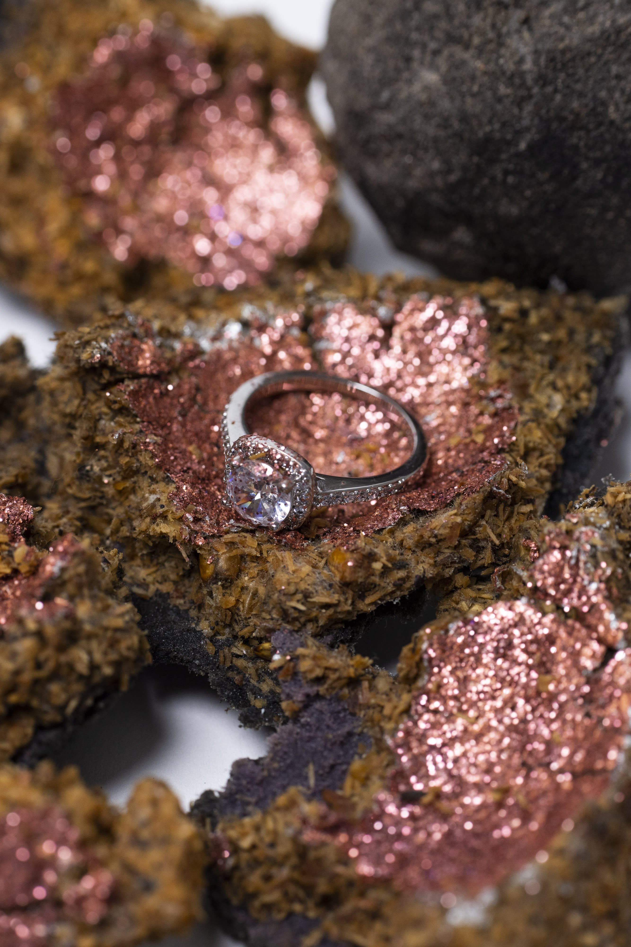 CSM_MABD_Swarovski_CG_00464.jpg