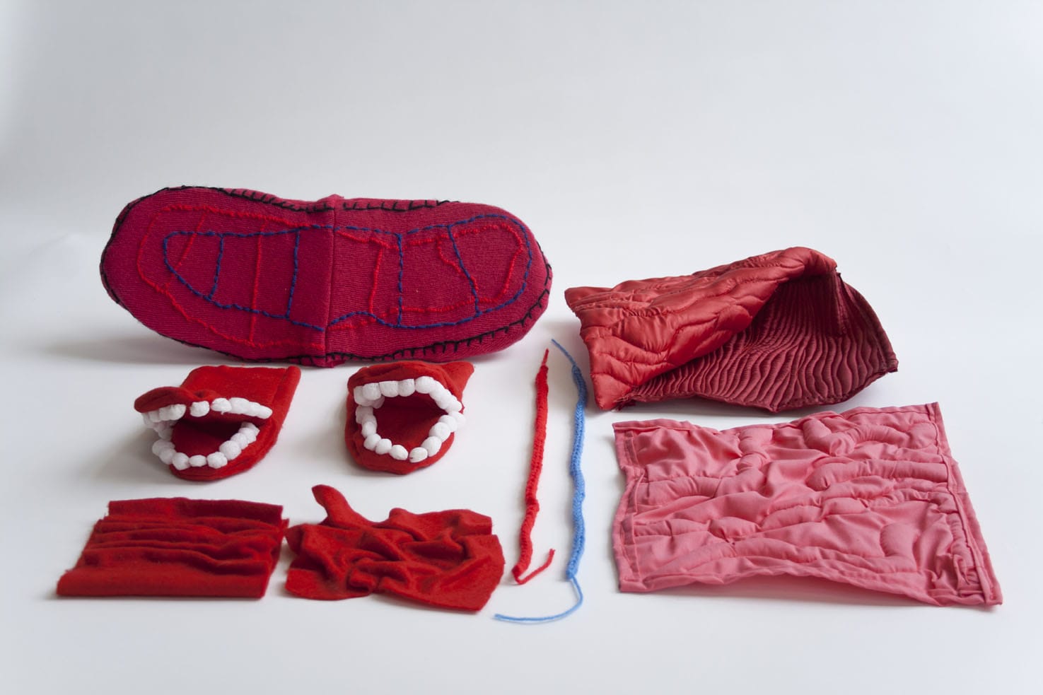 camberwell-ba-Illustration-Play-o-logy-AKA-Charlene-Man-and-Katie-Johnston-giant-digestive-system.jpg