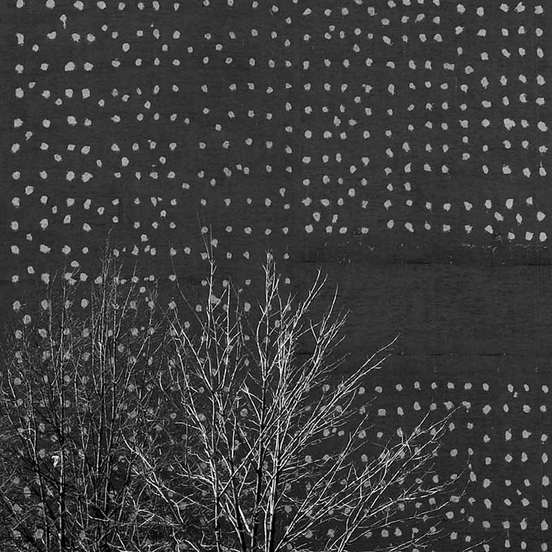 palindrome-04-from-the-series-linepoint.jpg