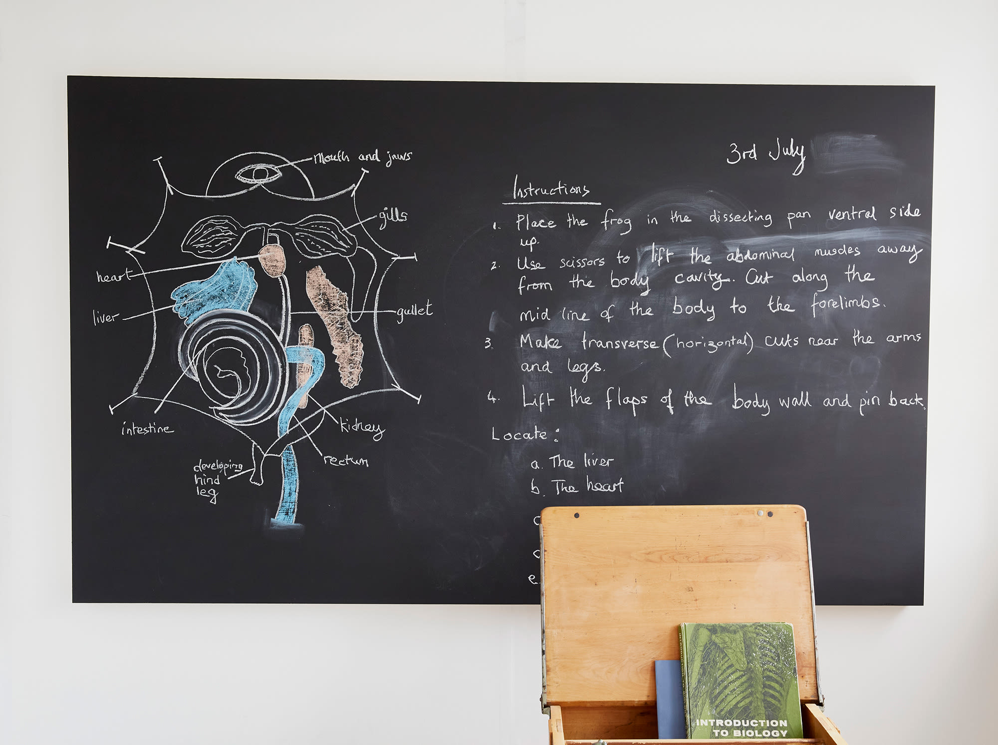 Camberwell-College-of-Arts-MA-Fine-Art-Drawing-Susan-Askew-crop.jpg