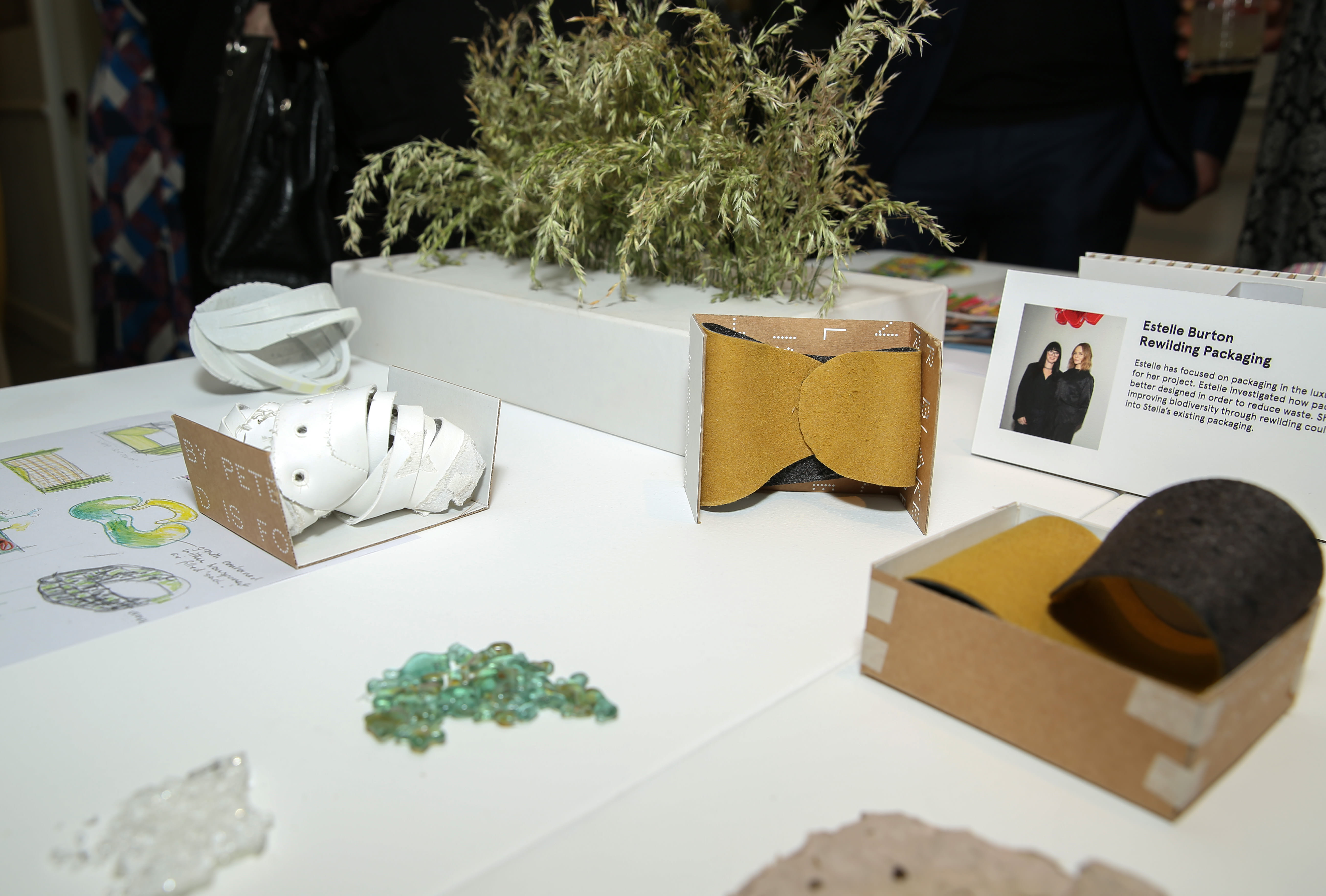 A series of designs and materials on a table, with a green plant visible