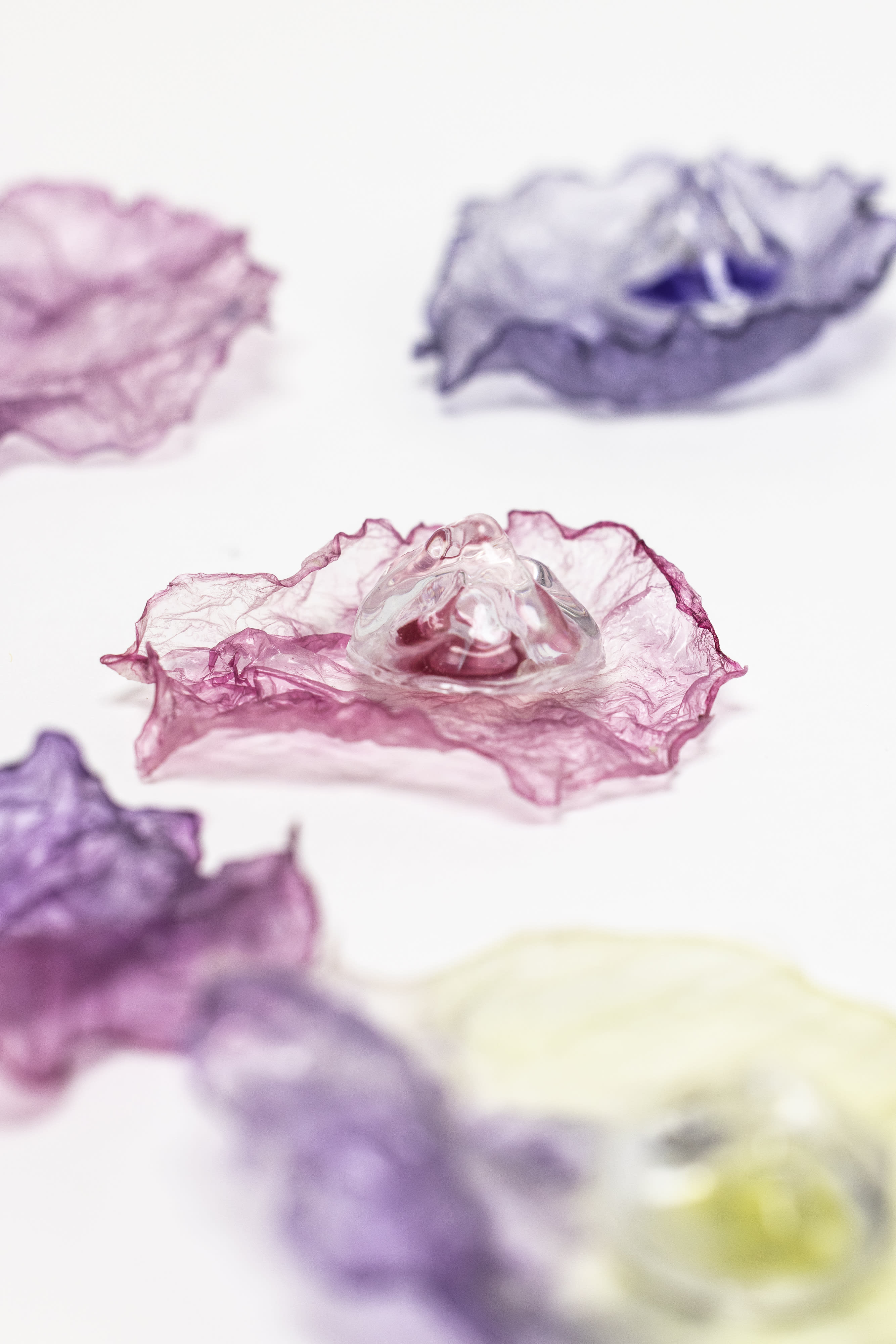 Swarovski-Biodesign-Group-6-15.jpg