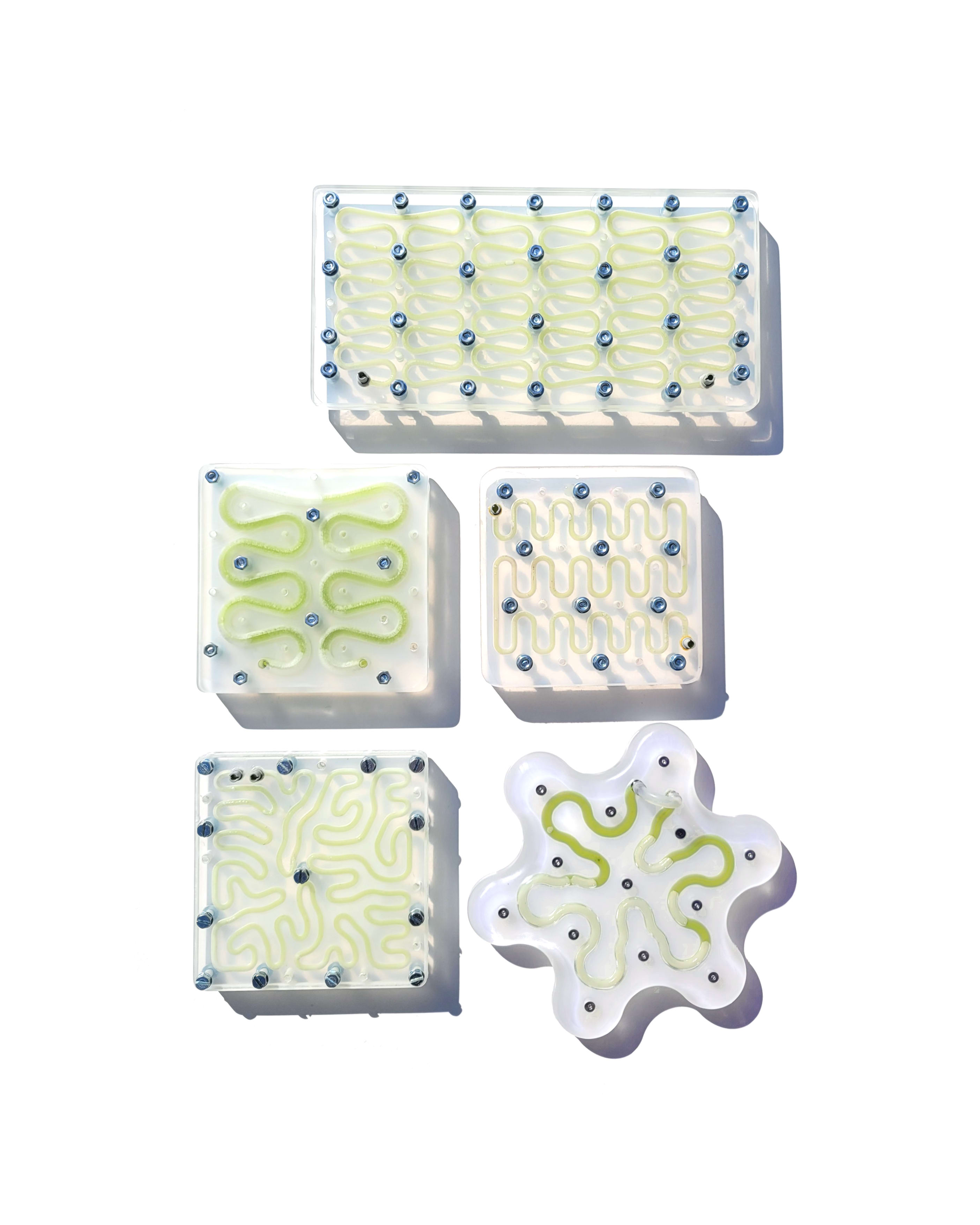 Algae-Panel-Prototypes_Peter-Nasielski.jpg