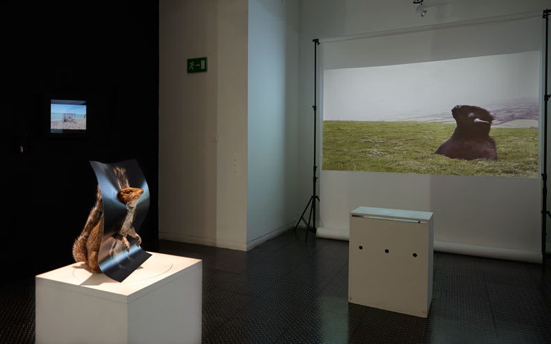 1.Sugarcandy-Mountain-Installation-still.jpg