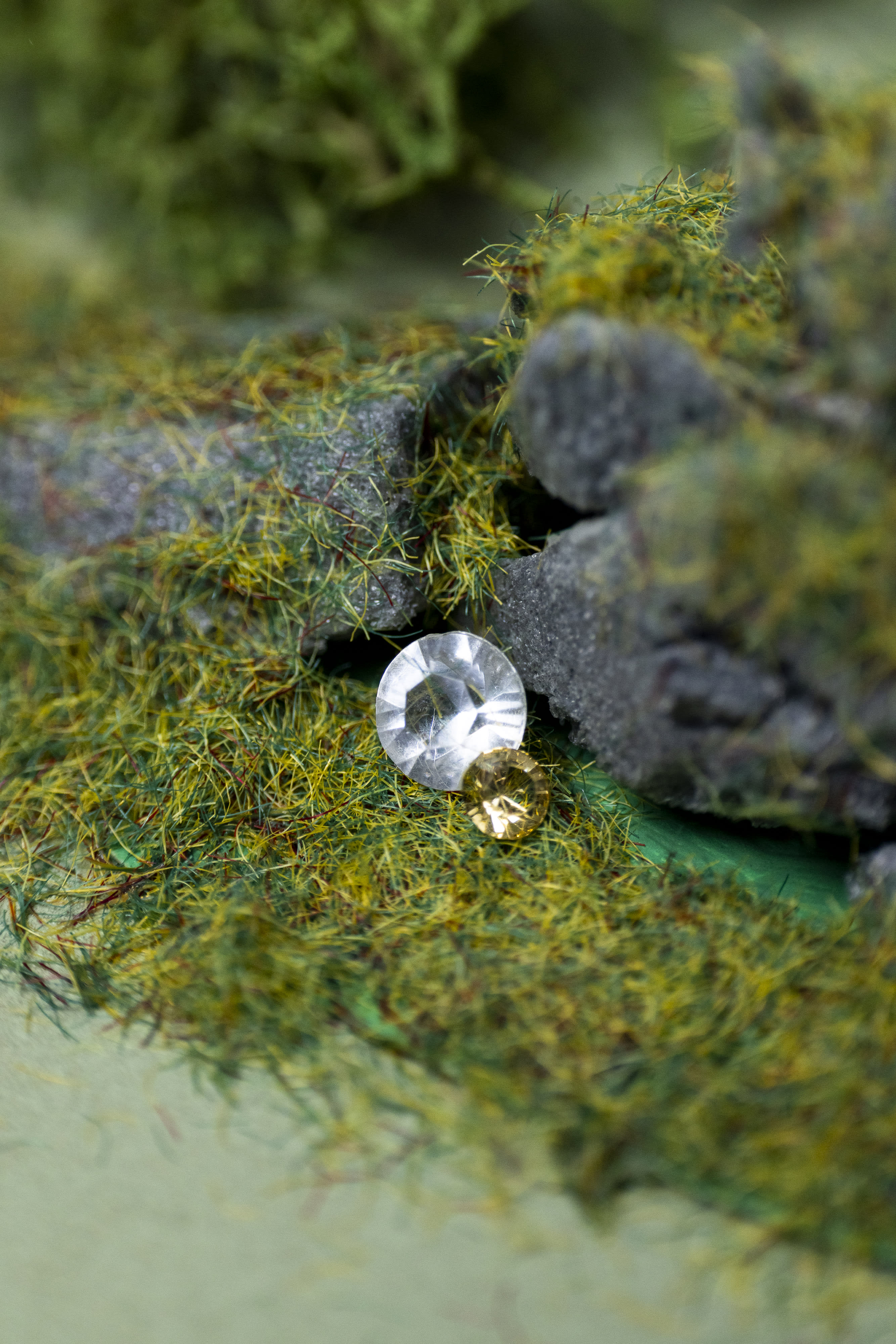 Swarovski-Biodesign-Group-3-17.jpg