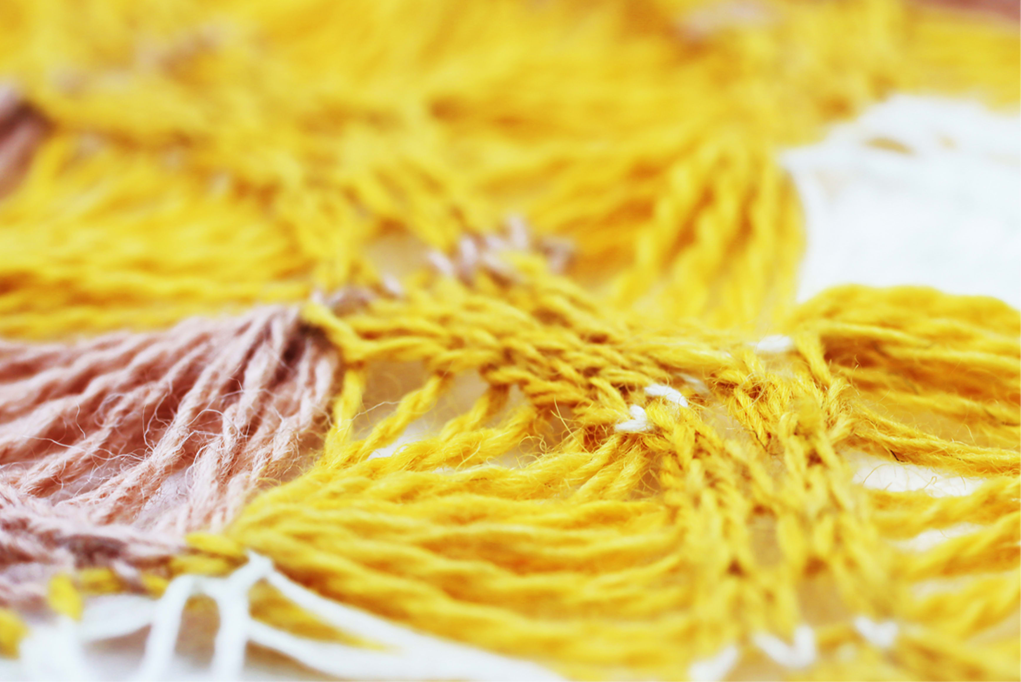 rewilding-textiles-8a-Maison0-2022.jpg