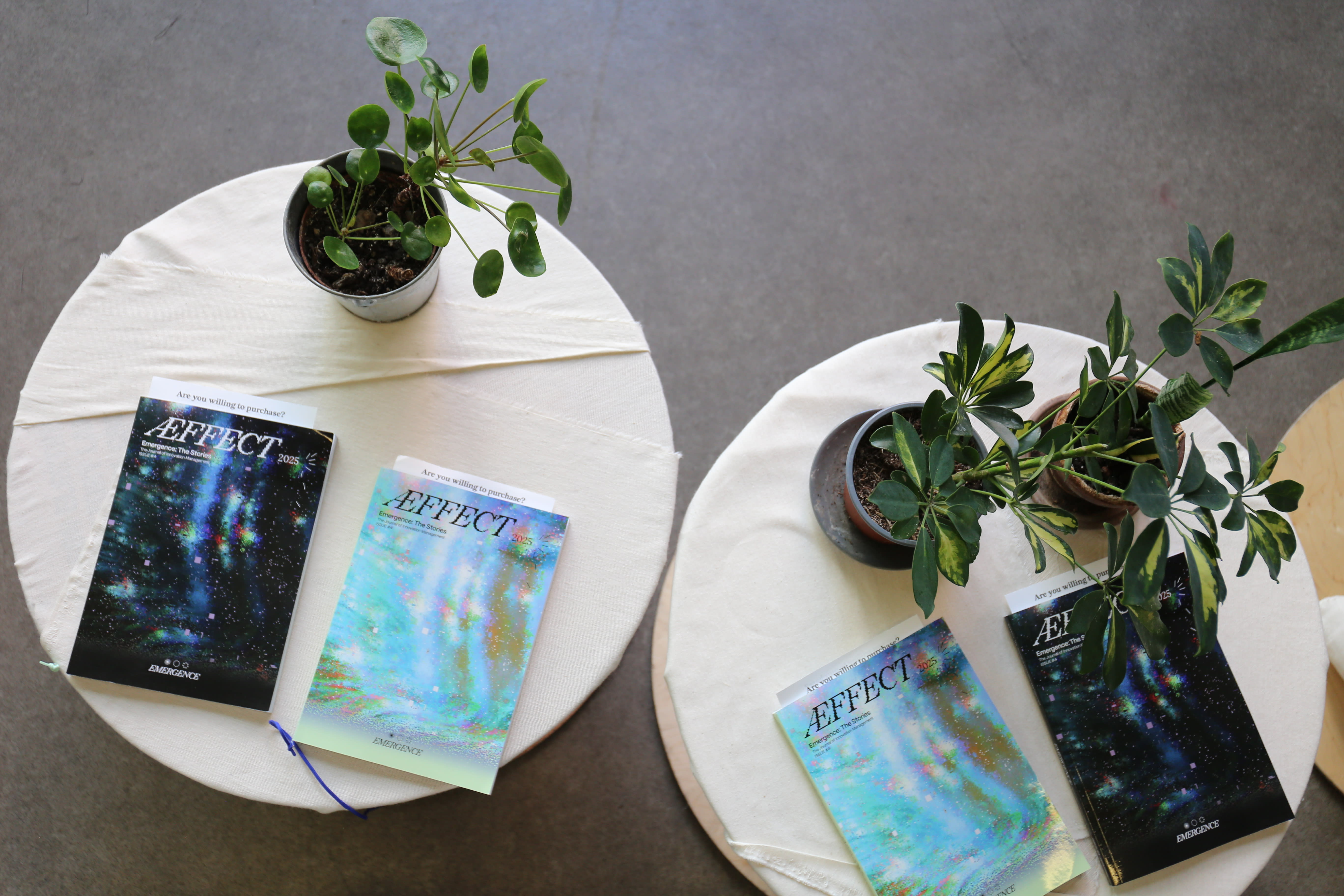 Publications titled Æffect laid out on two tables