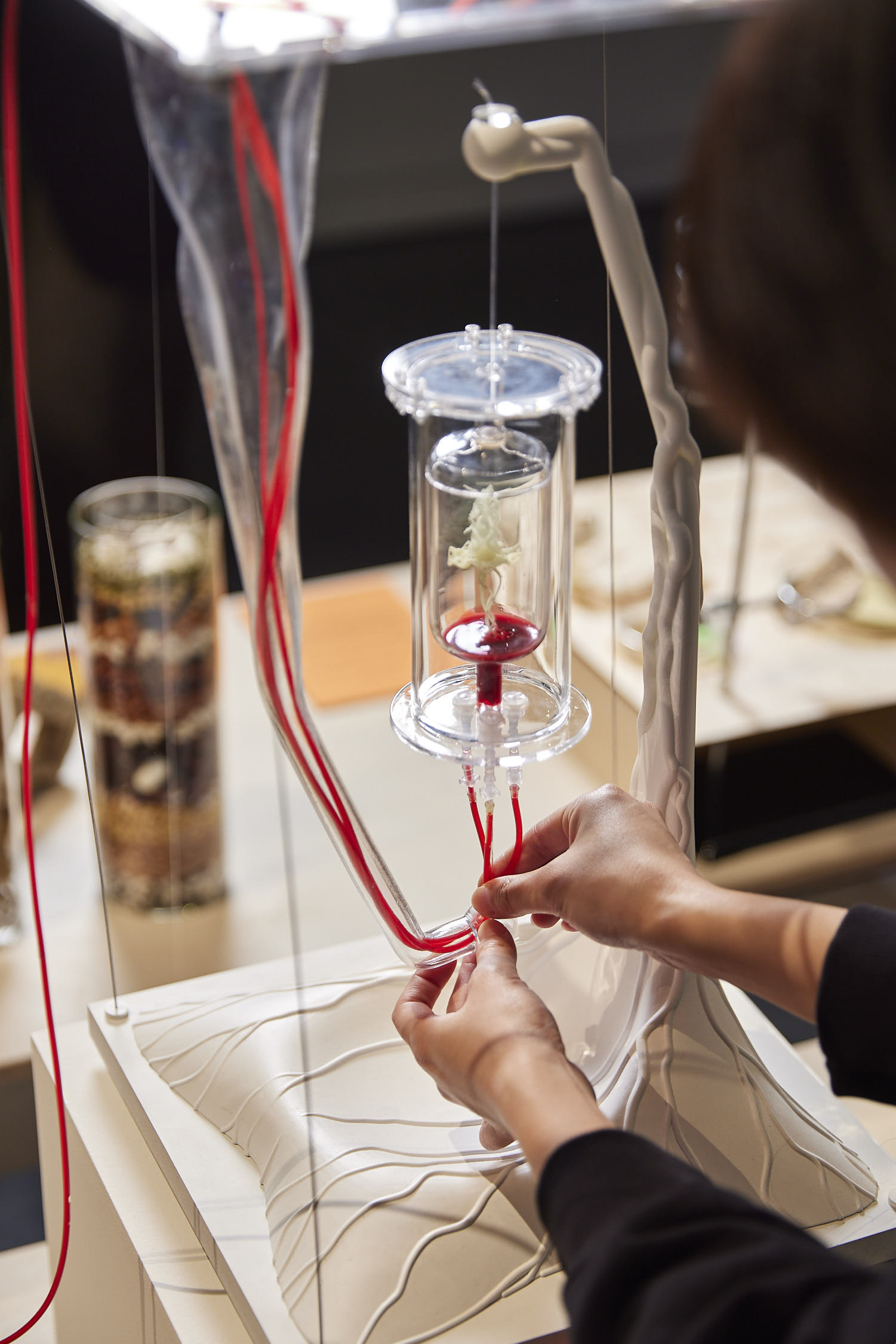 A scientific apparatus and structure made of white material with vein-like patterns and a blood infusion line