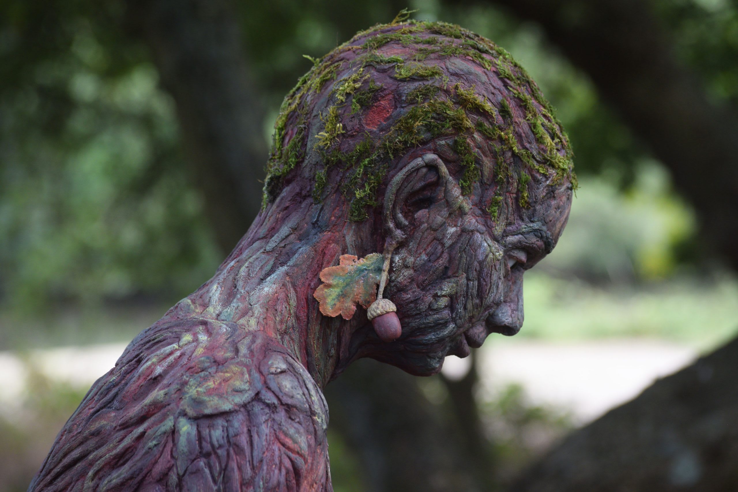 Emma-Cole-Dryad-photo-2.jpg