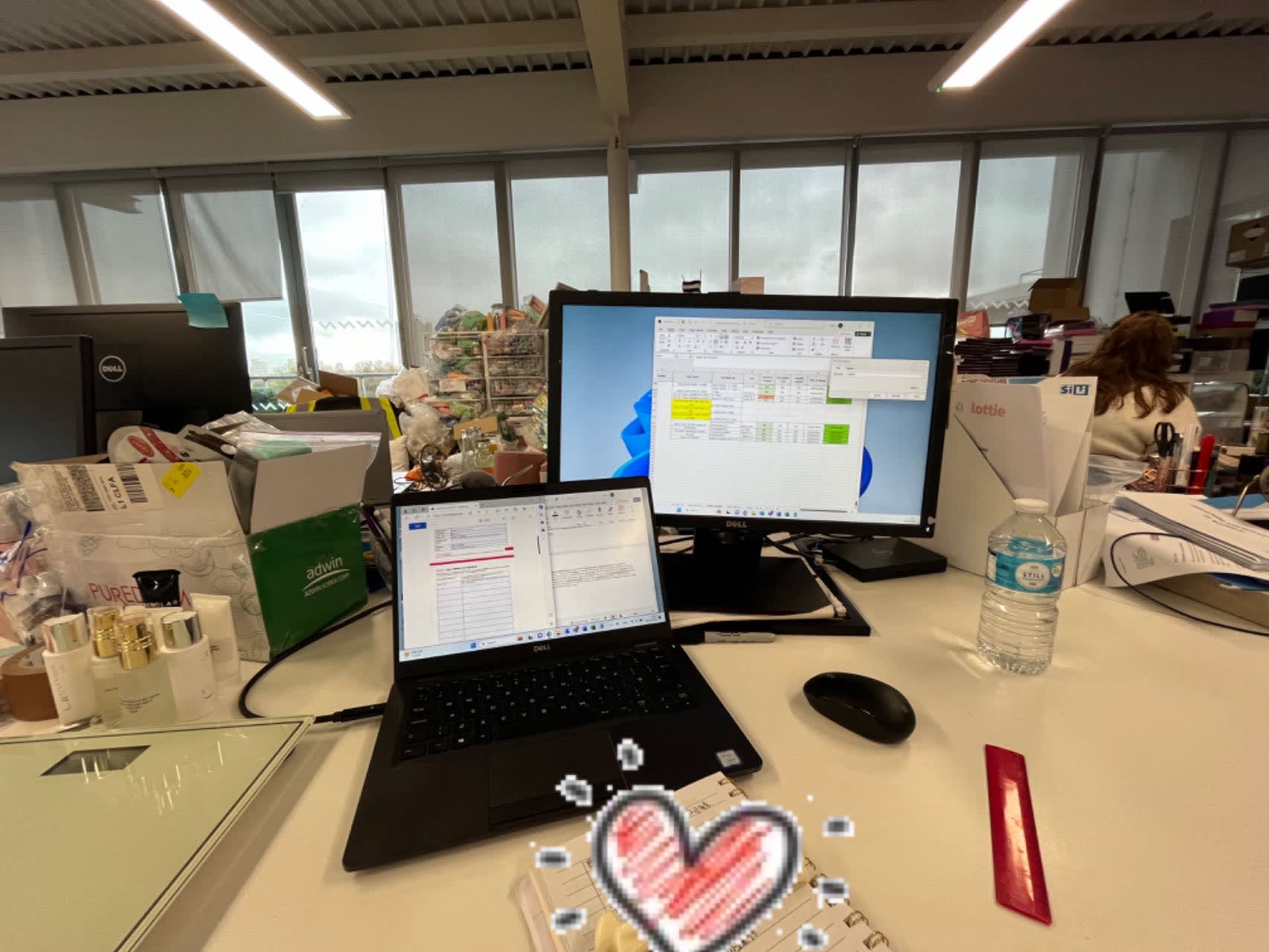 two computer screens showing the quality control work that Cosmetic Science placement students complete 