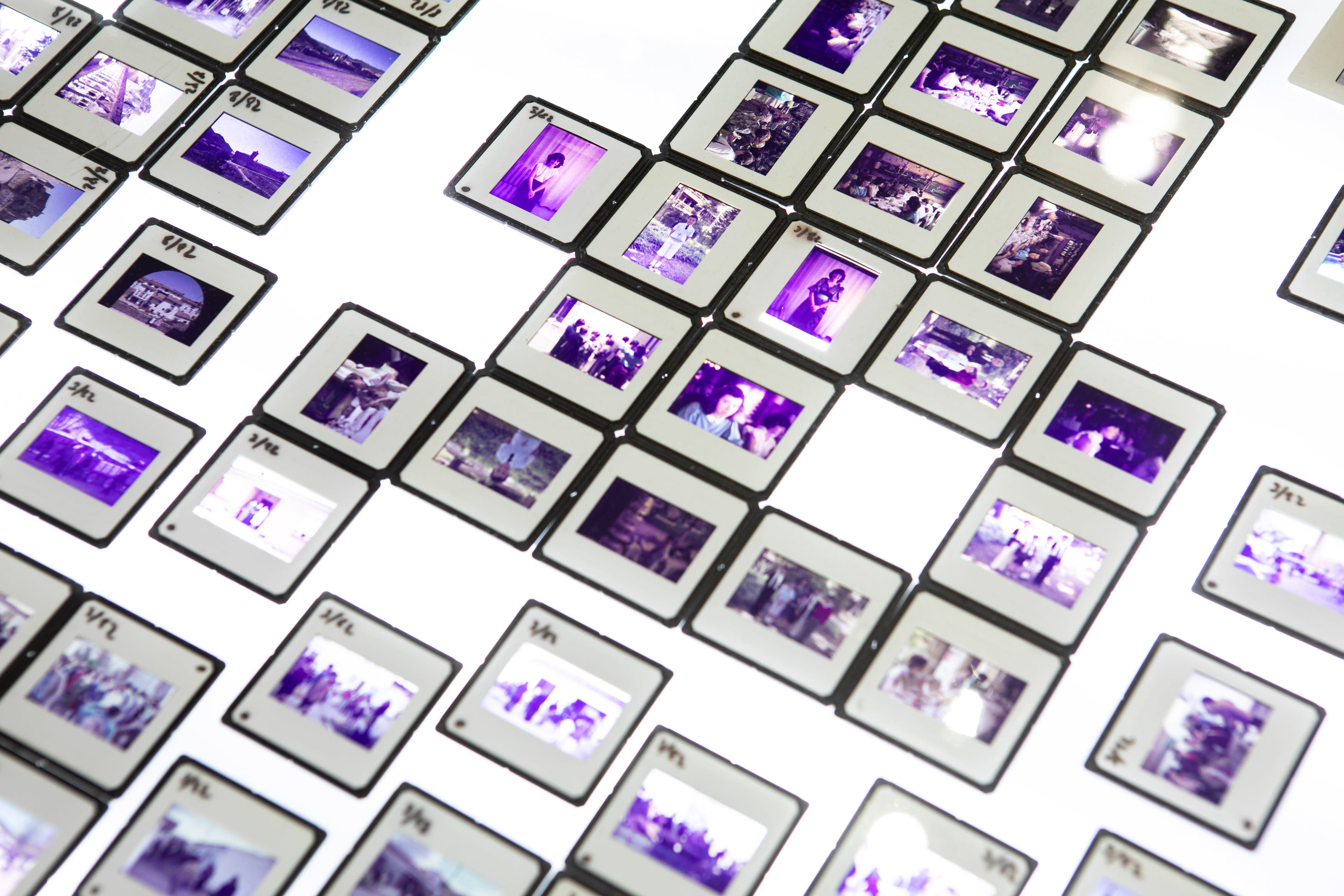 Purple slides on a lightbox