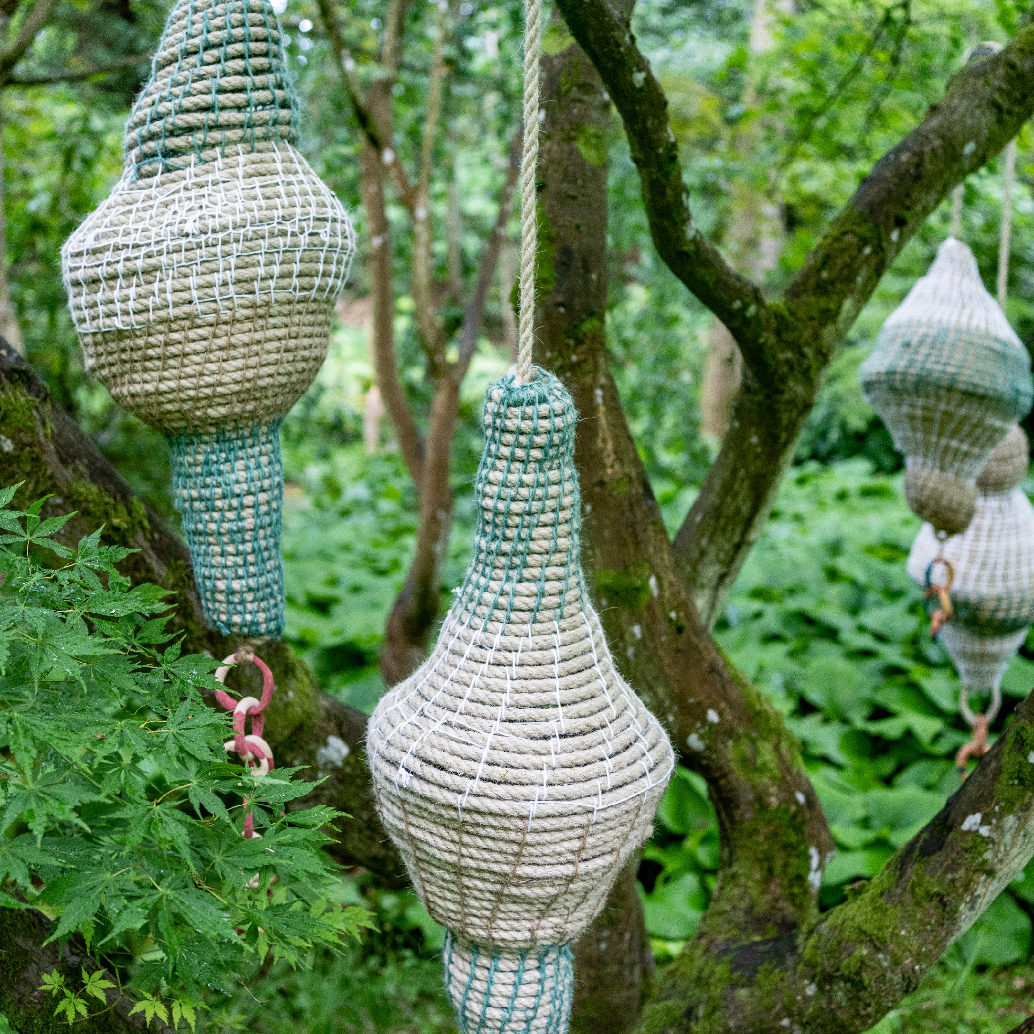 Hanging baskets in a forest