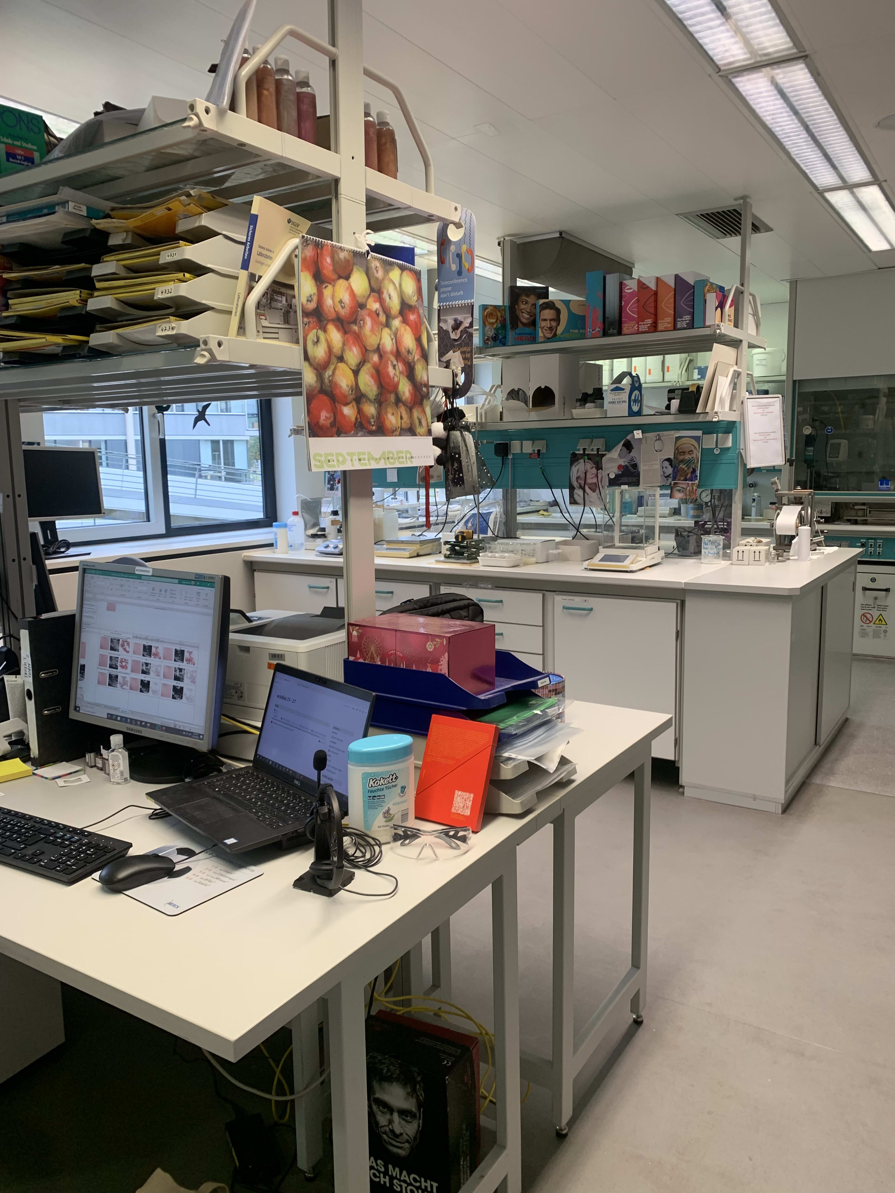 The interior of the cosmetics lab on placement at Merck KGaA, with two large desks and screen monitors. 