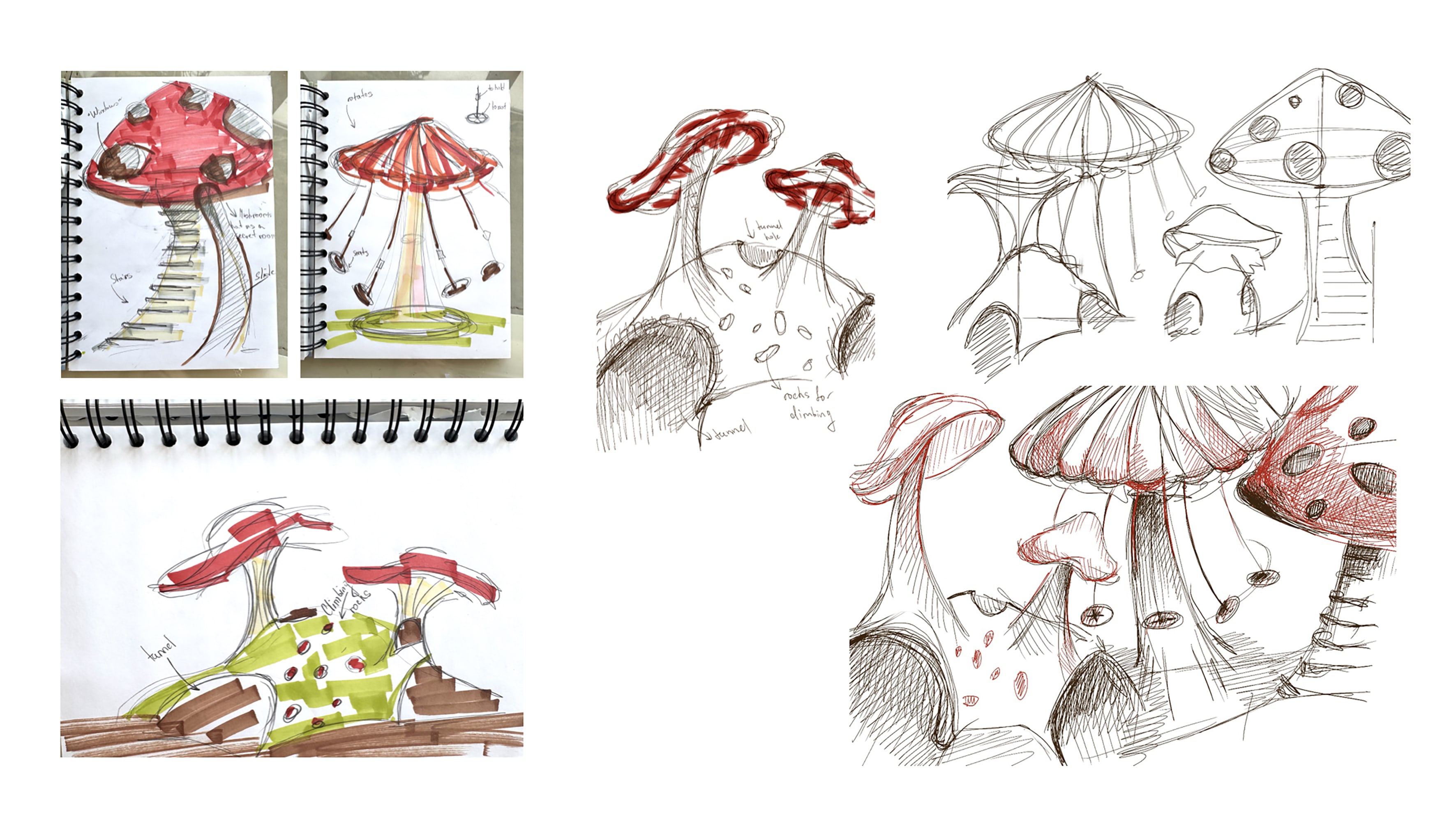 A selection of mushroom drawings