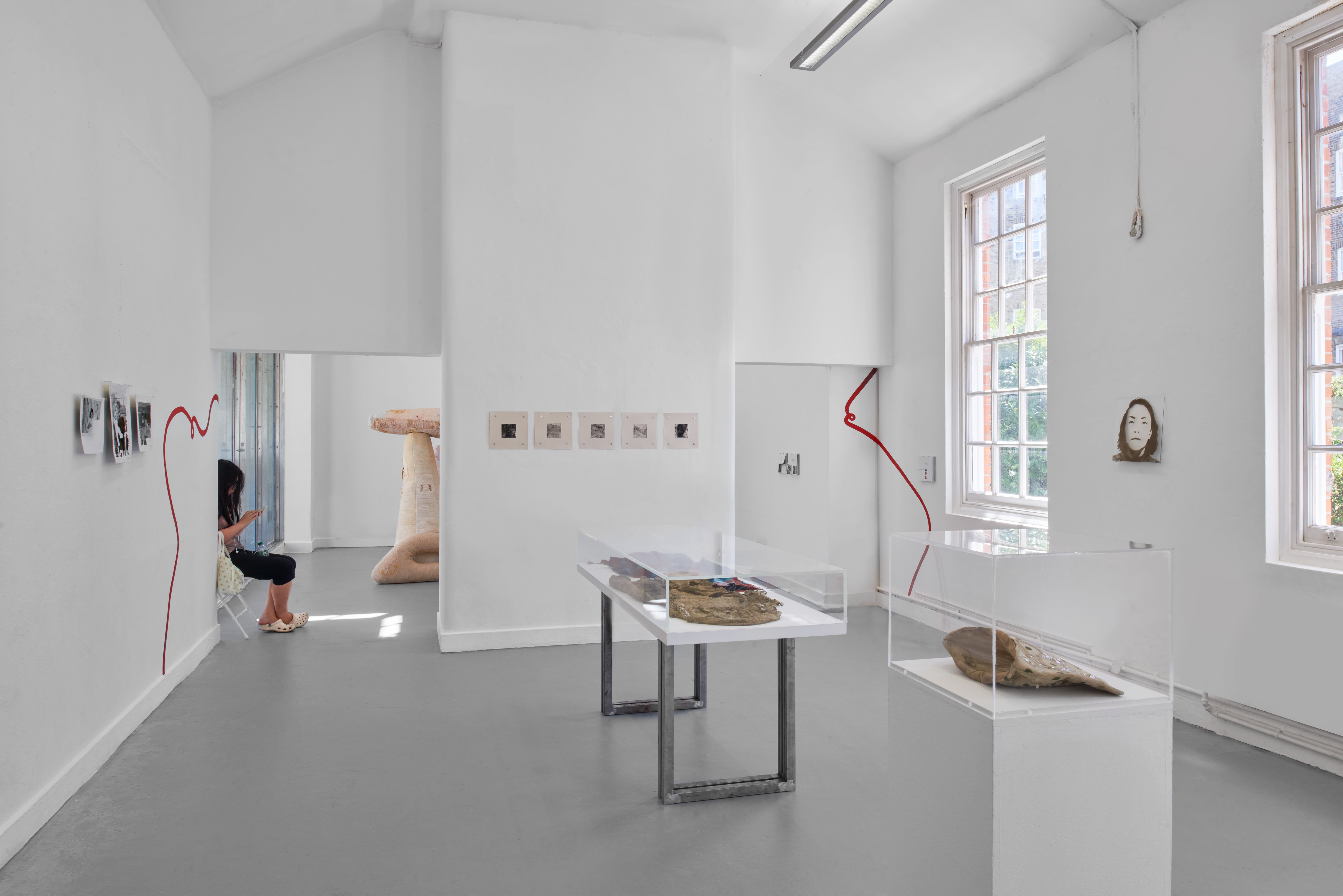 A wide installation view of an art exhibition in a clean white space. There are works in vitrines and on walls including sculpture and paintings. There is a person seated to the far left of the image.