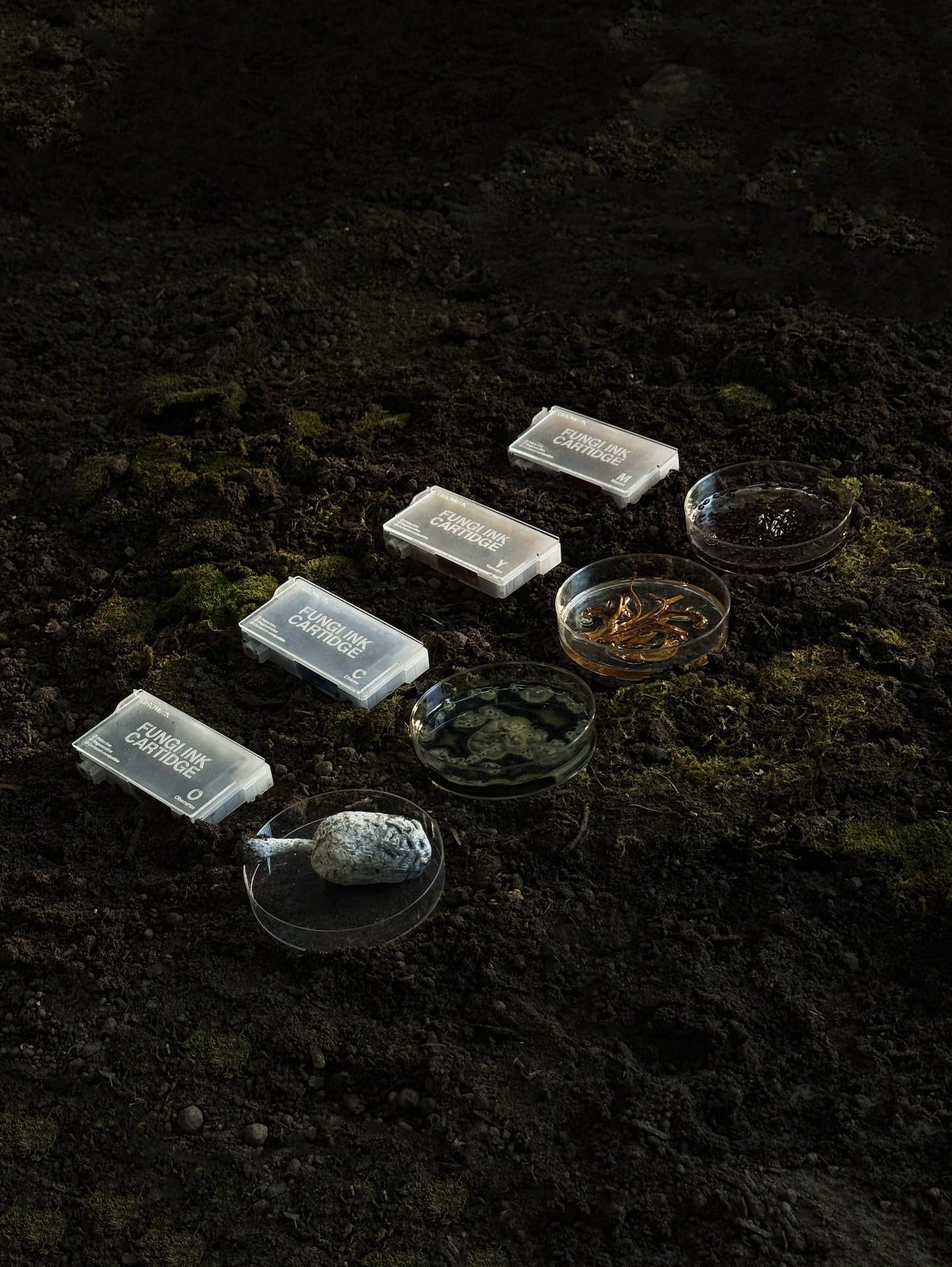 Plastic boxes and glass trays with bacteria placed on dark green ground