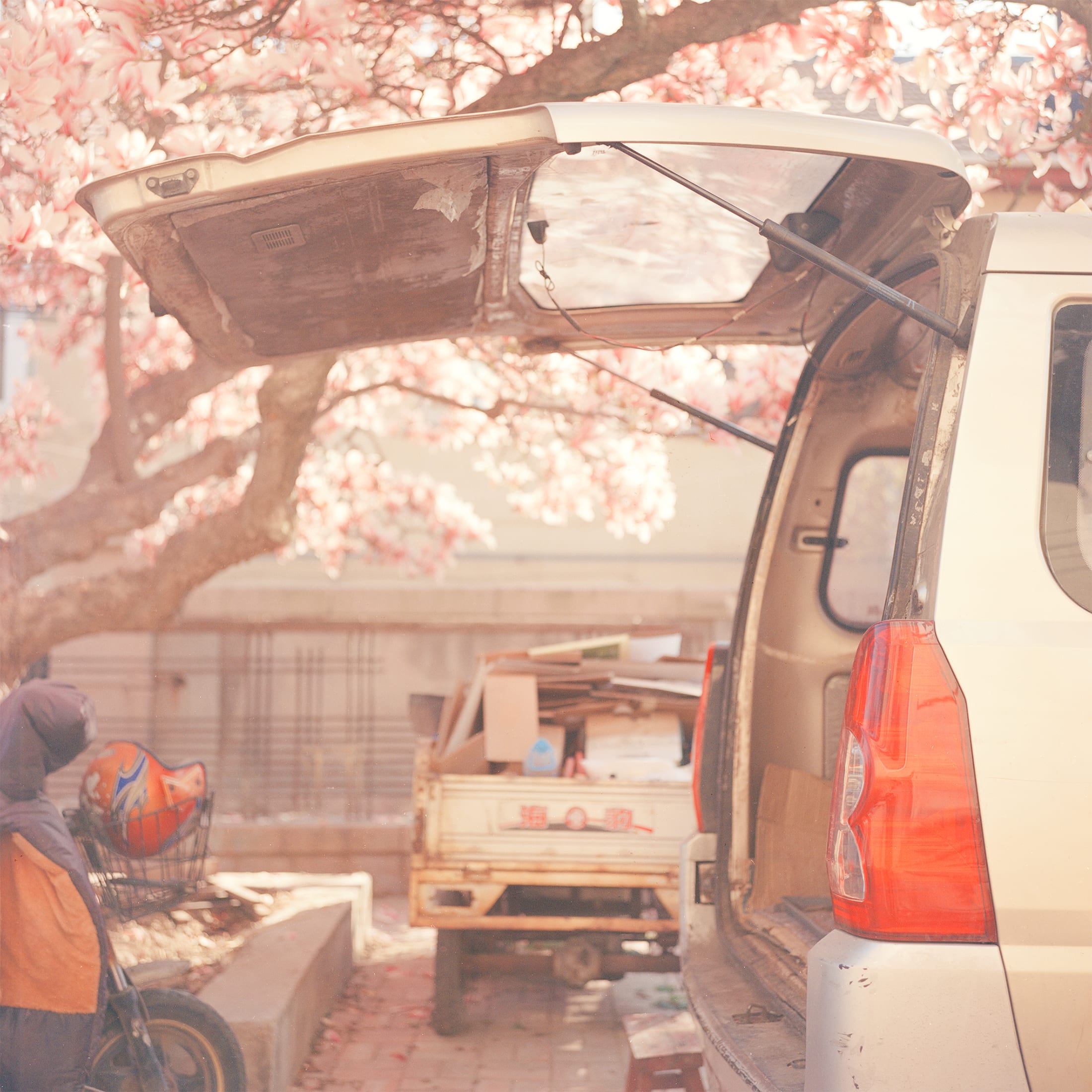 photograph of a car surrounded by pink blossom.