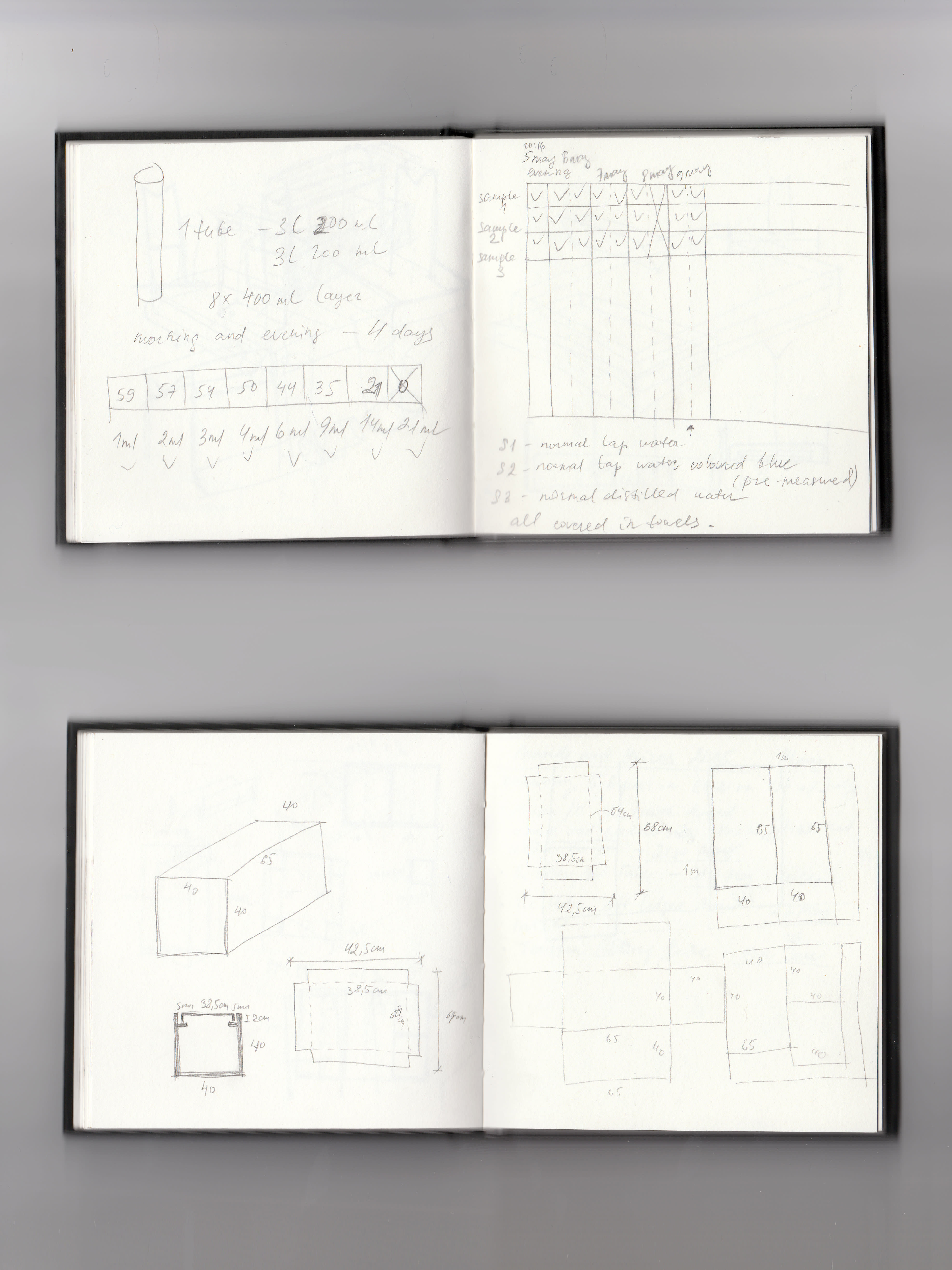 Anastasia Belinskaya 