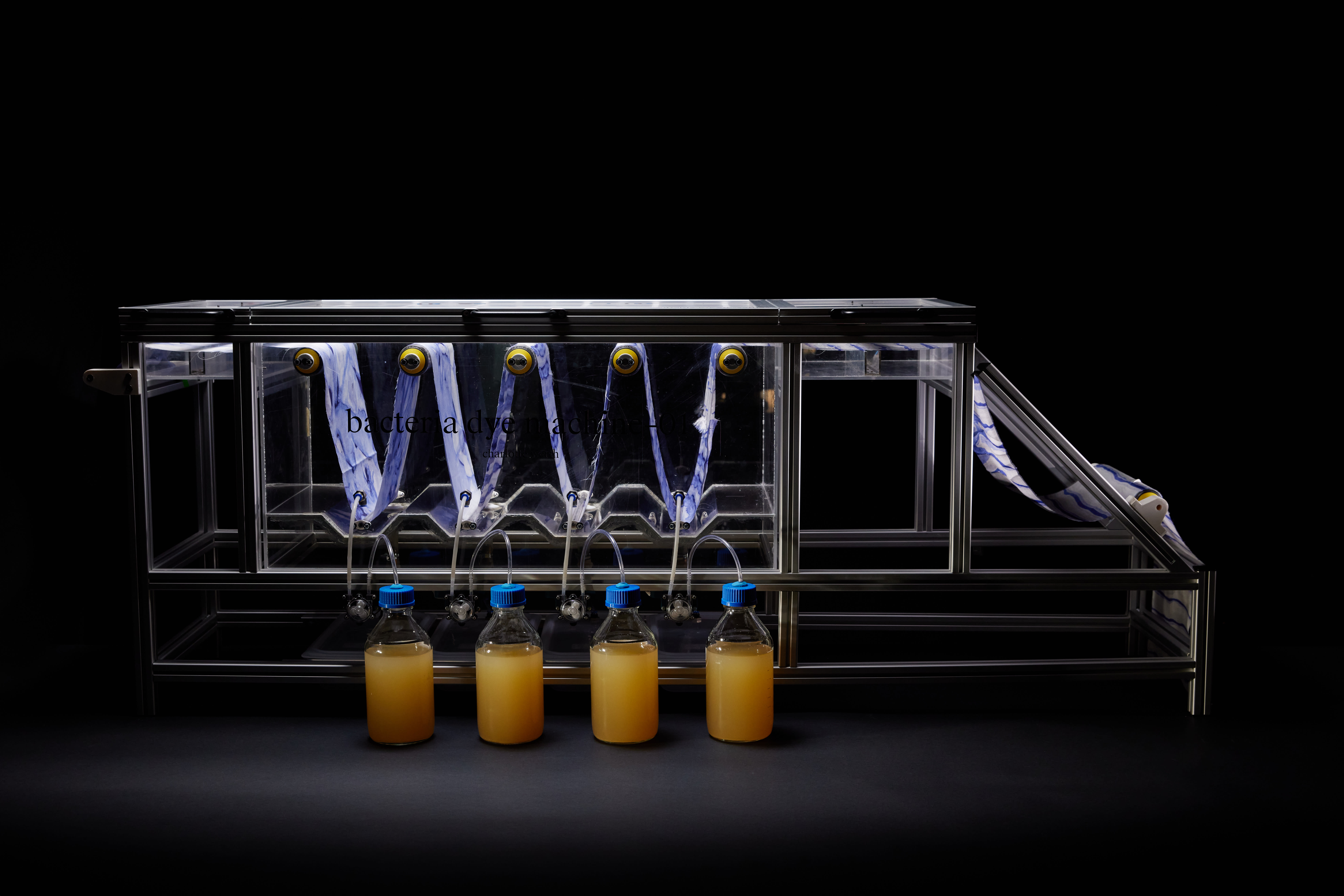 Charlotte's bacterial dye machine