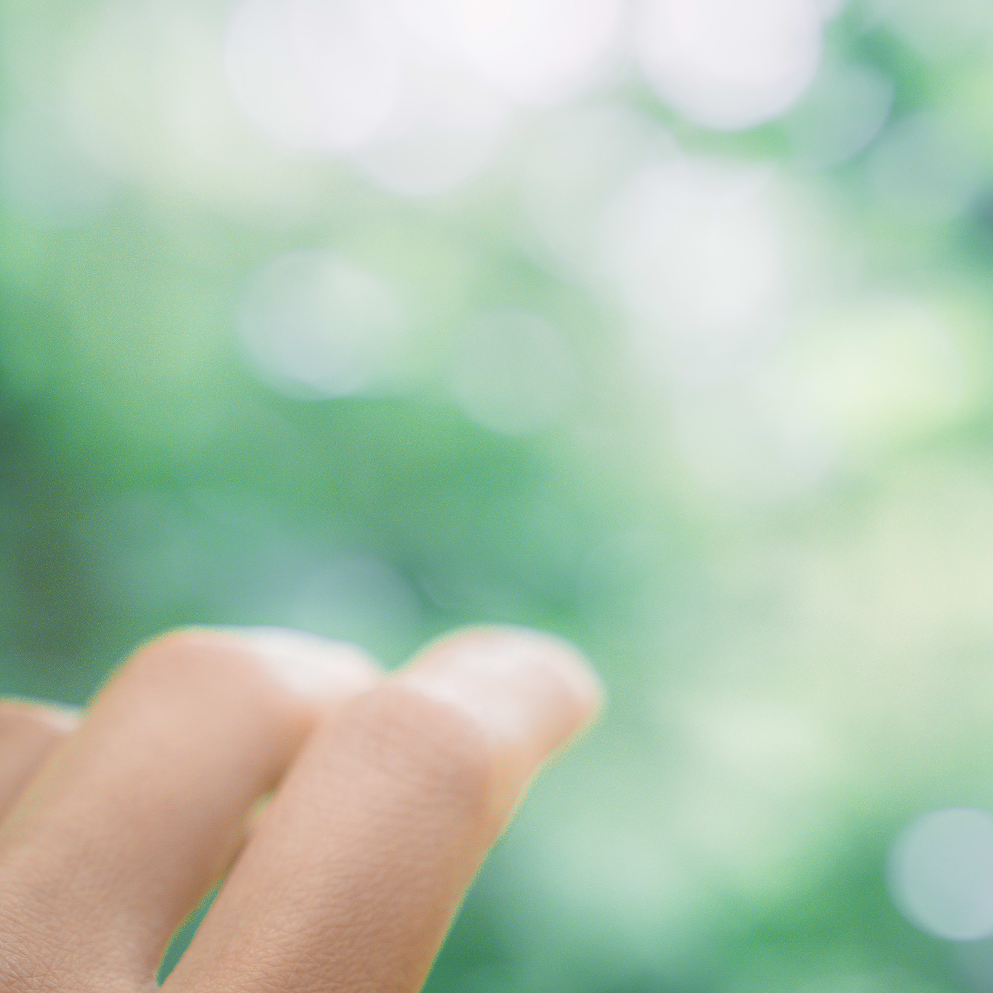 Photograph of fingers reaching out towards green.