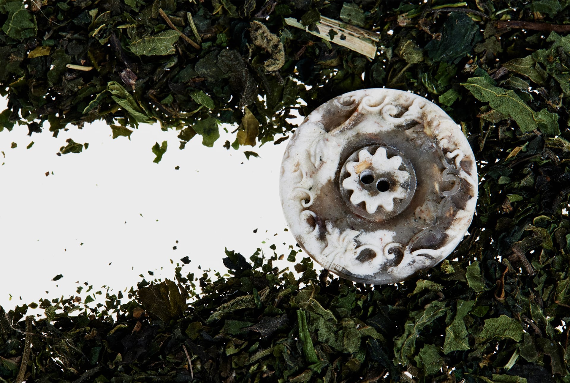 Close-up of biodegradable buttons