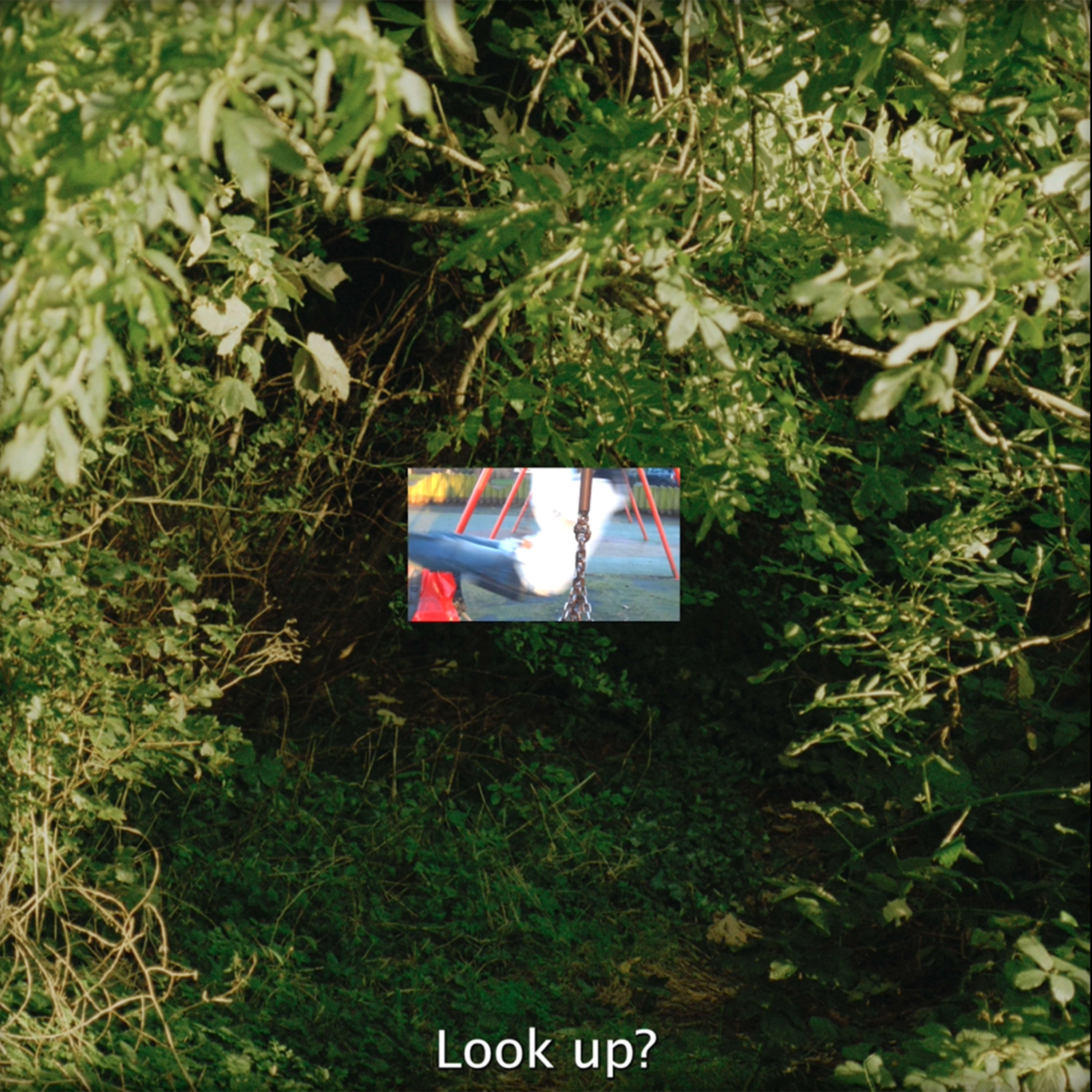 Photograph of an opening in a woody area, with another photo layered on the top.