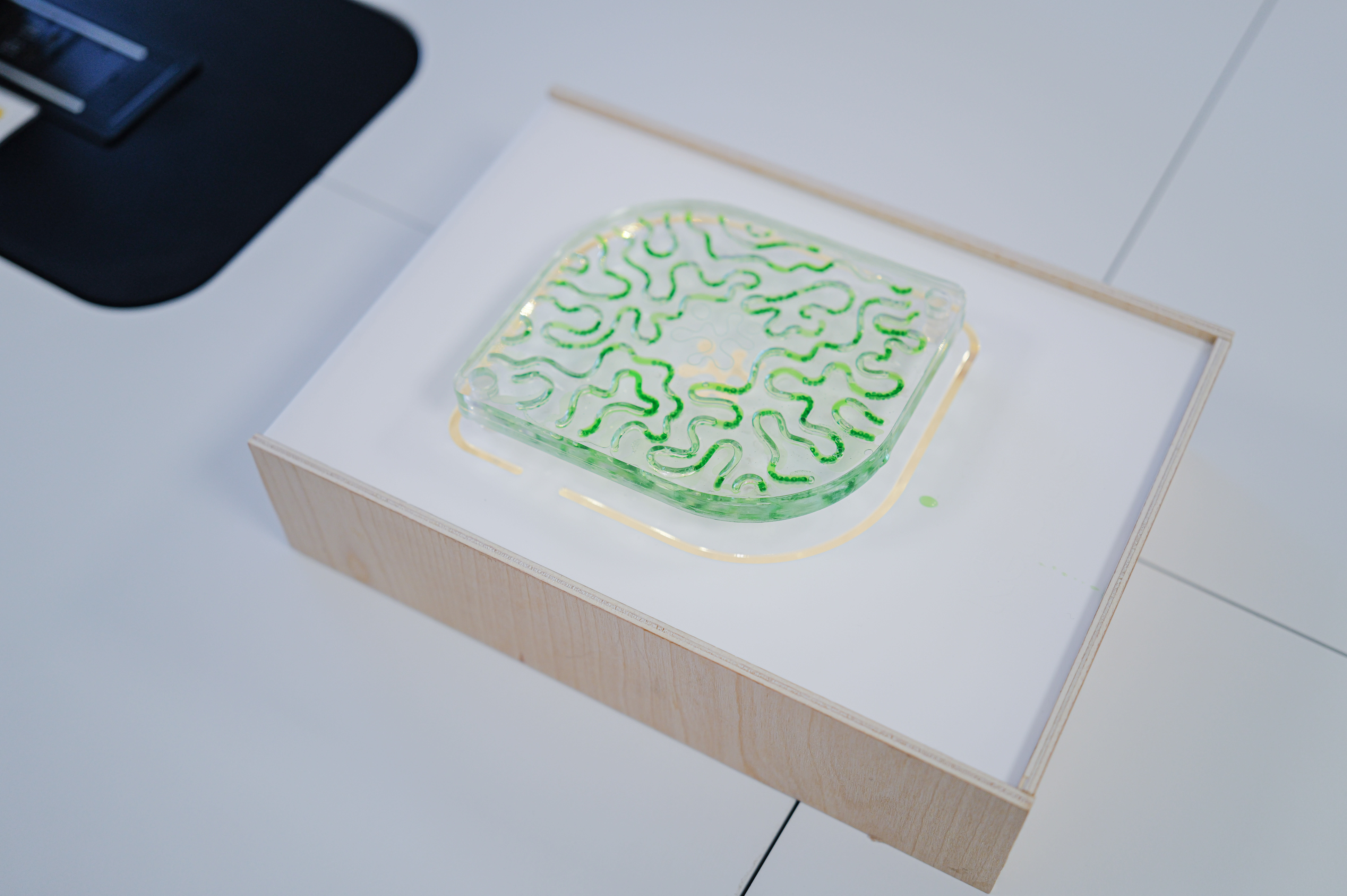 This is a prototype of a water dispenser for Suntory Project