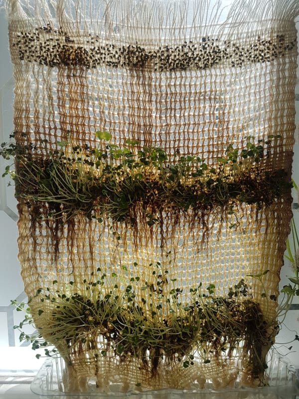 Seed fabric and compostable textiles: MA Textile Design graduate Apurva Srihari