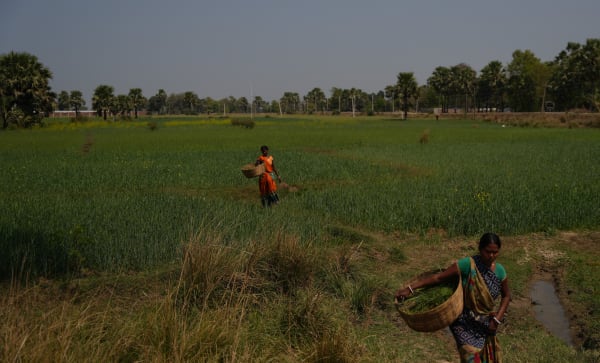 A+ Magazine: UAL students reflect on their investigations into the global food crisis